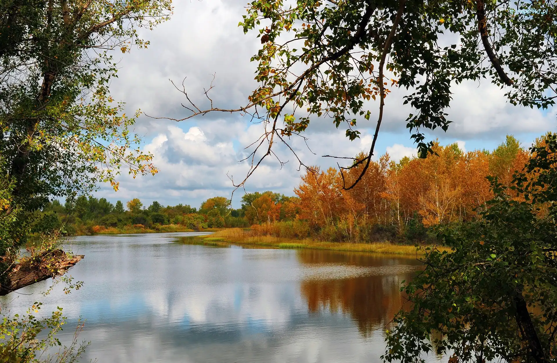Jesień, Drzewa, Liście, Jezioro, Park, Chmury, Gałęzie