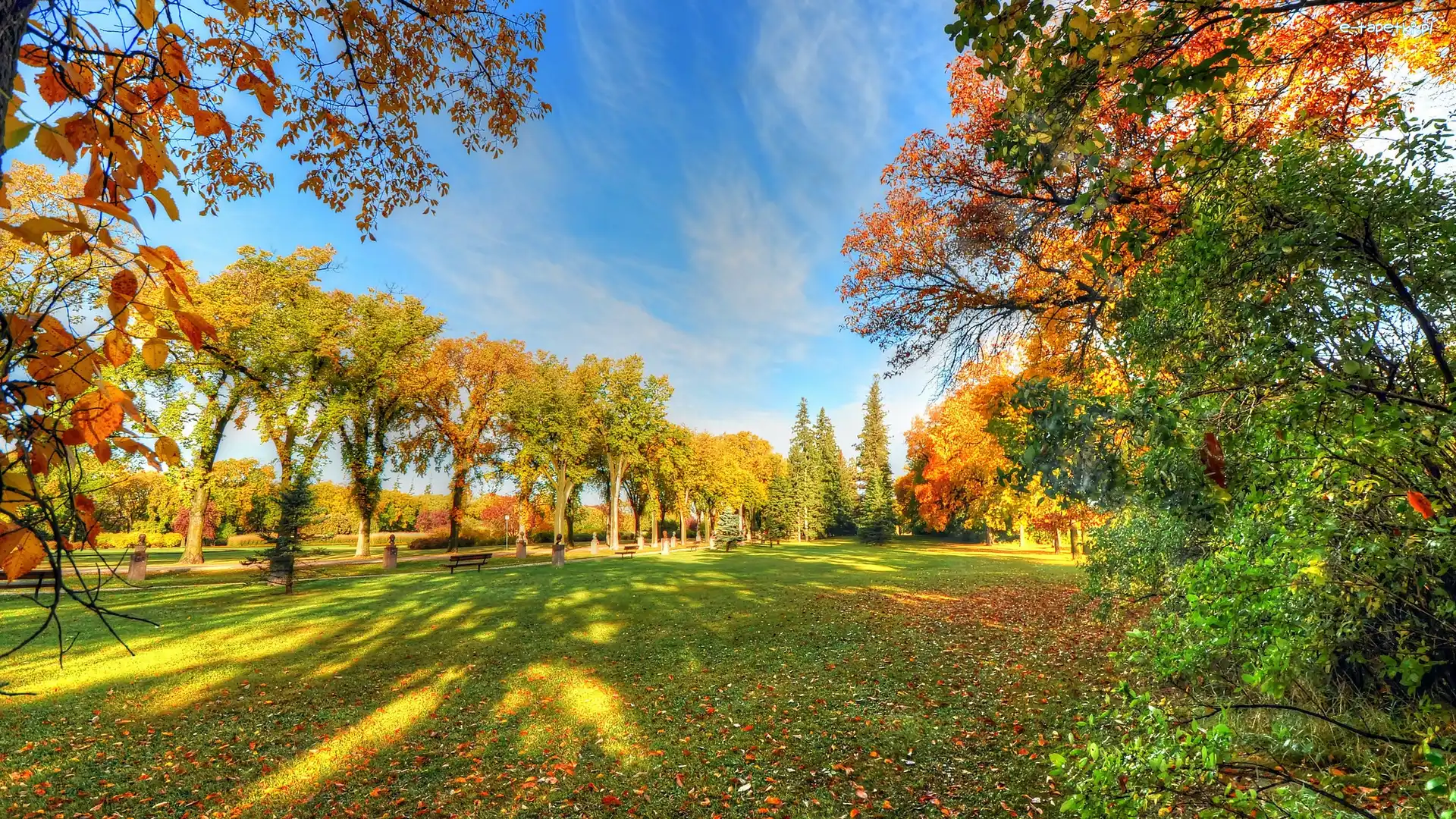 Liście, Alejki, Ławki, Jesień, Drzewa, Park