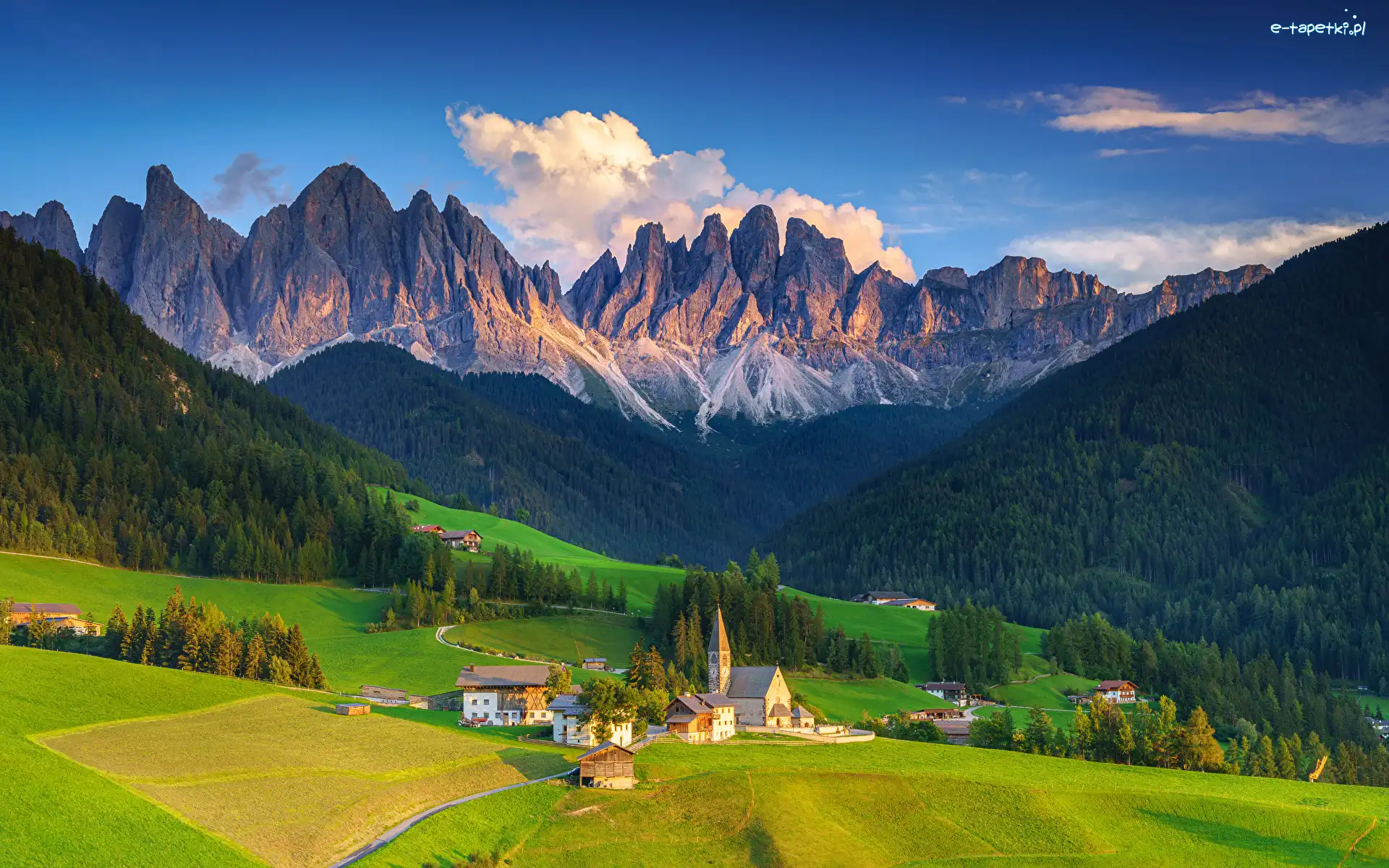 Drzewa, Dolina Val di Funes, Kościół, Lasy, Santa Maddalena, Góry, Dolomity, Włochy, Wieś, Domy