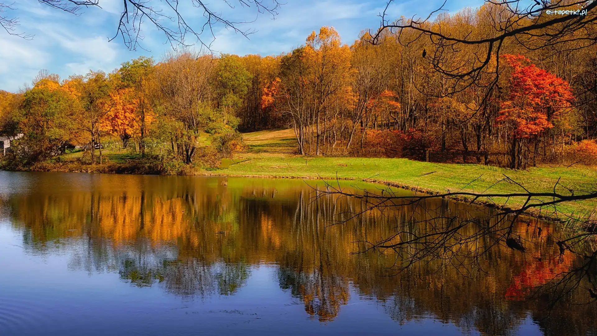 Park, Pożółkłe, Staw, Jesień, Drzewa