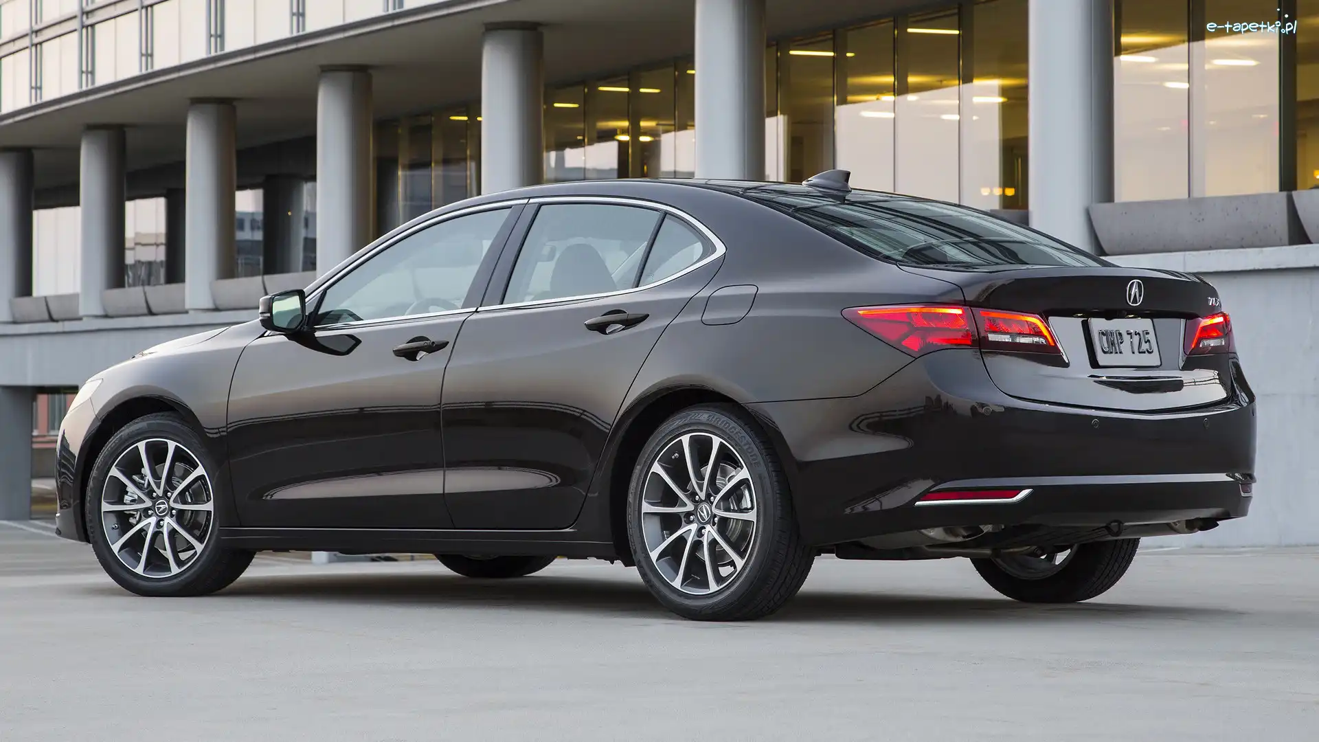 Bok, Acura TLX