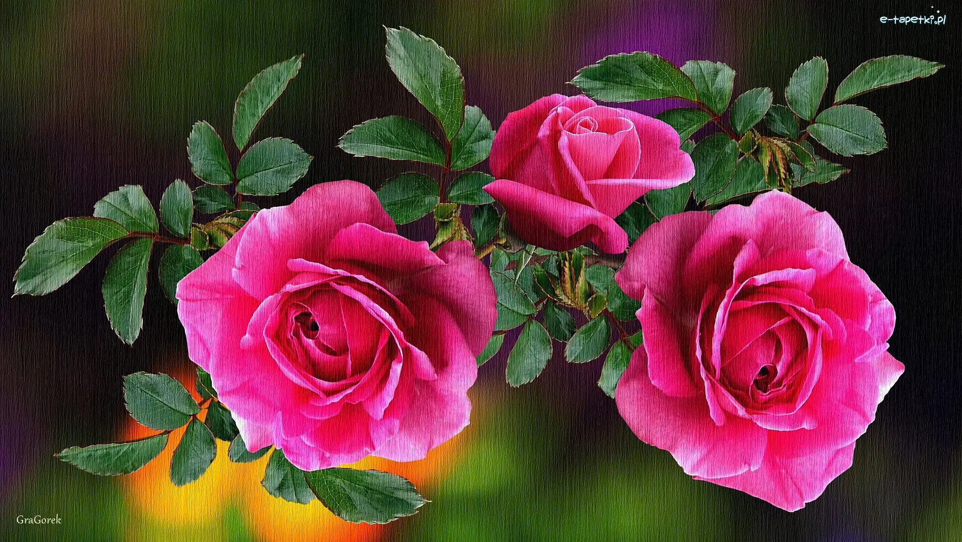 Kwiaty, Grafika, Liście, Róże