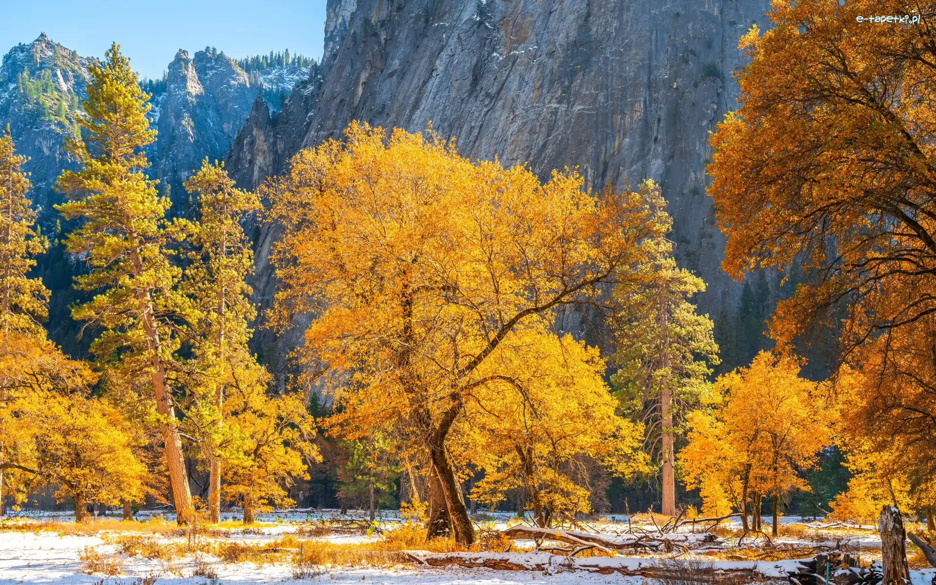 Stan Kalifornia, Góry, Drzewa, Stany Zjednoczone, Park Narodowy Yosemite, Jesień