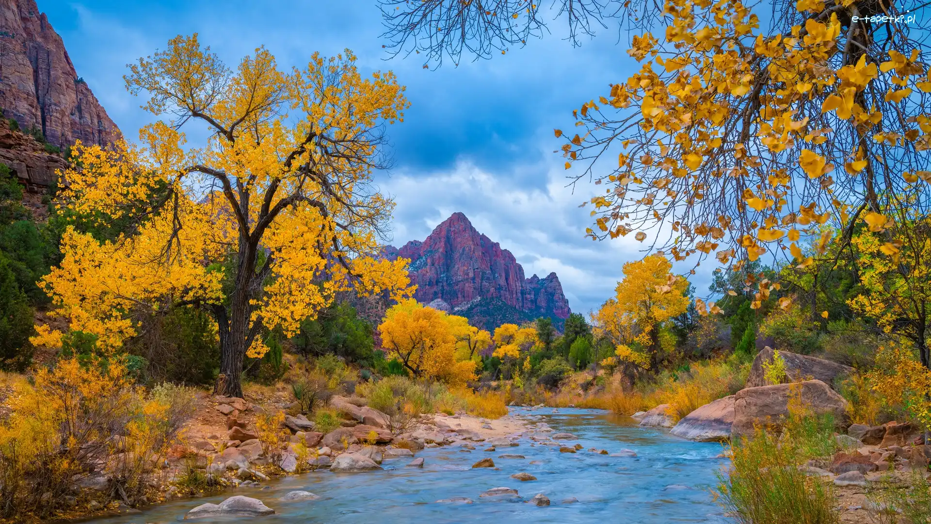 Virgin River, Rzeka, Drzewa, Góry Watchman, Park Narodowy Zion, Stany Zjednoczone, Stan Utah, Jesień, Kamienie