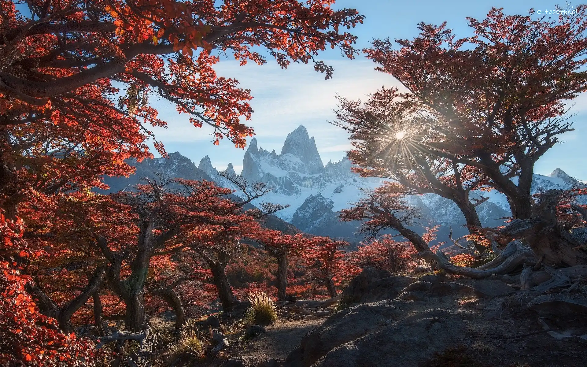 Jesień, Szczyt Fitz Roy, Góry, Park Narodowy Los Glaciares, Argentyna, Promienie słońca, Jesień, Patagonia, Drzewa