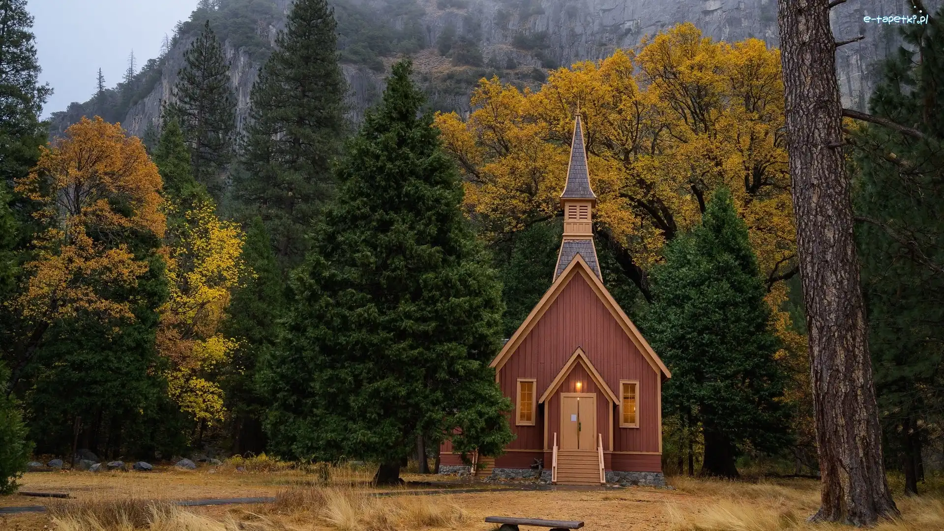 Kaplica, Drzewa, Stany Zjednoczone, Stan Kalifornia, Kościółek, Las, Park Narodowy Yosemite, Zima