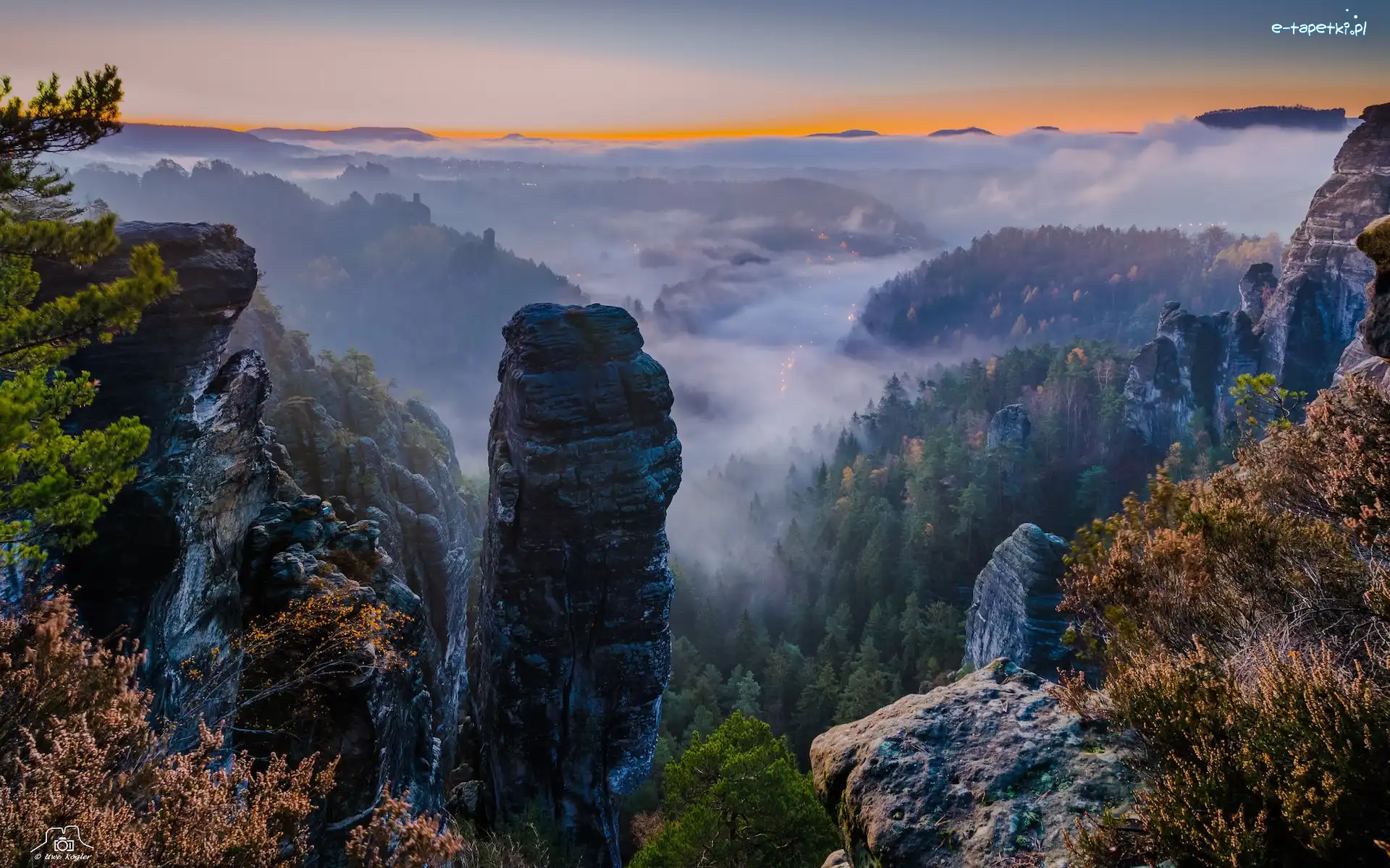 Niemcy, Drzewa, Mgła, Skały, Góry Połabskie, Park Narodowy Saskiej Szwajcarii, Skały