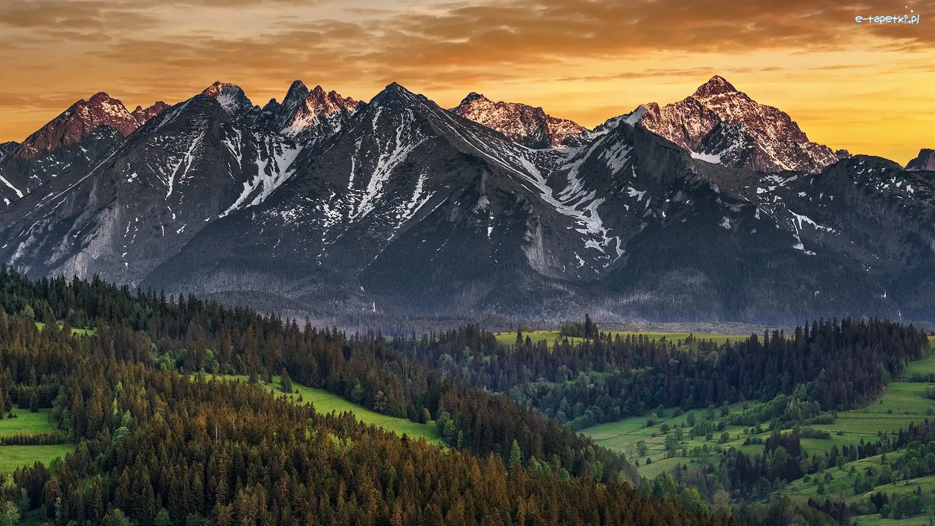 Góry, Kasprowy Wierch, Tatry, Polska, Lasy