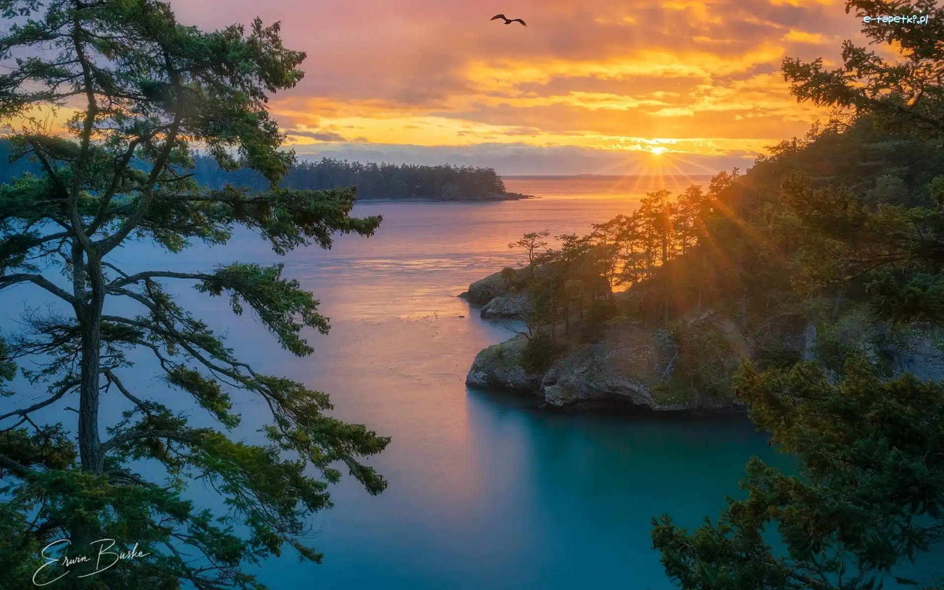 Stany Zjednoczone, Cieśnina Deception Pass, Drzewa, Morze, Promienie słońca, Stan Waszyngton, Oak Harbor