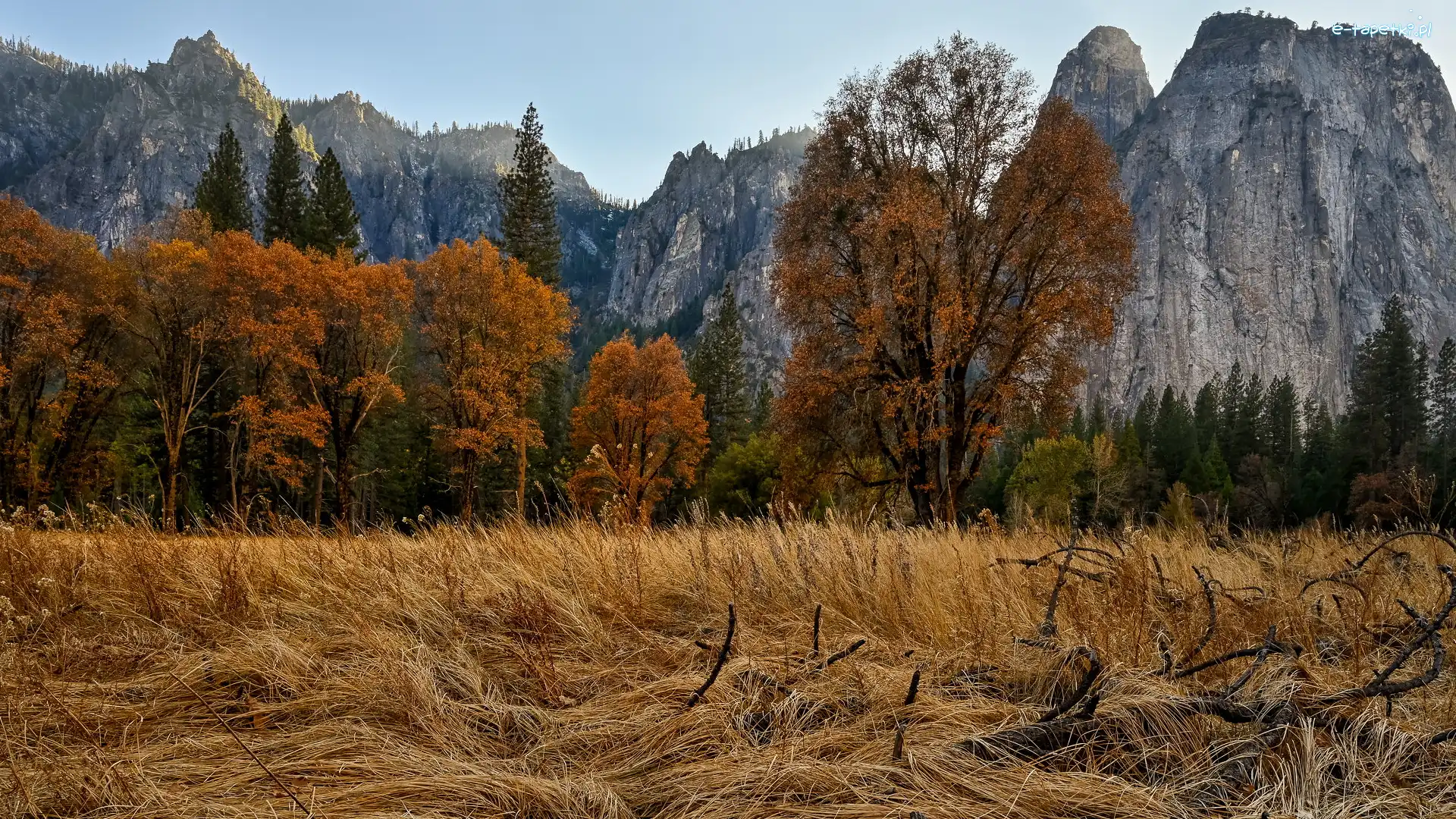 Góry, Trawa, Jesień, Drzewa, Park Narodowy Yosemite, Stany Zjednoczone, Kalifornia, Pożółkła, Szczyt Cathedral Peak