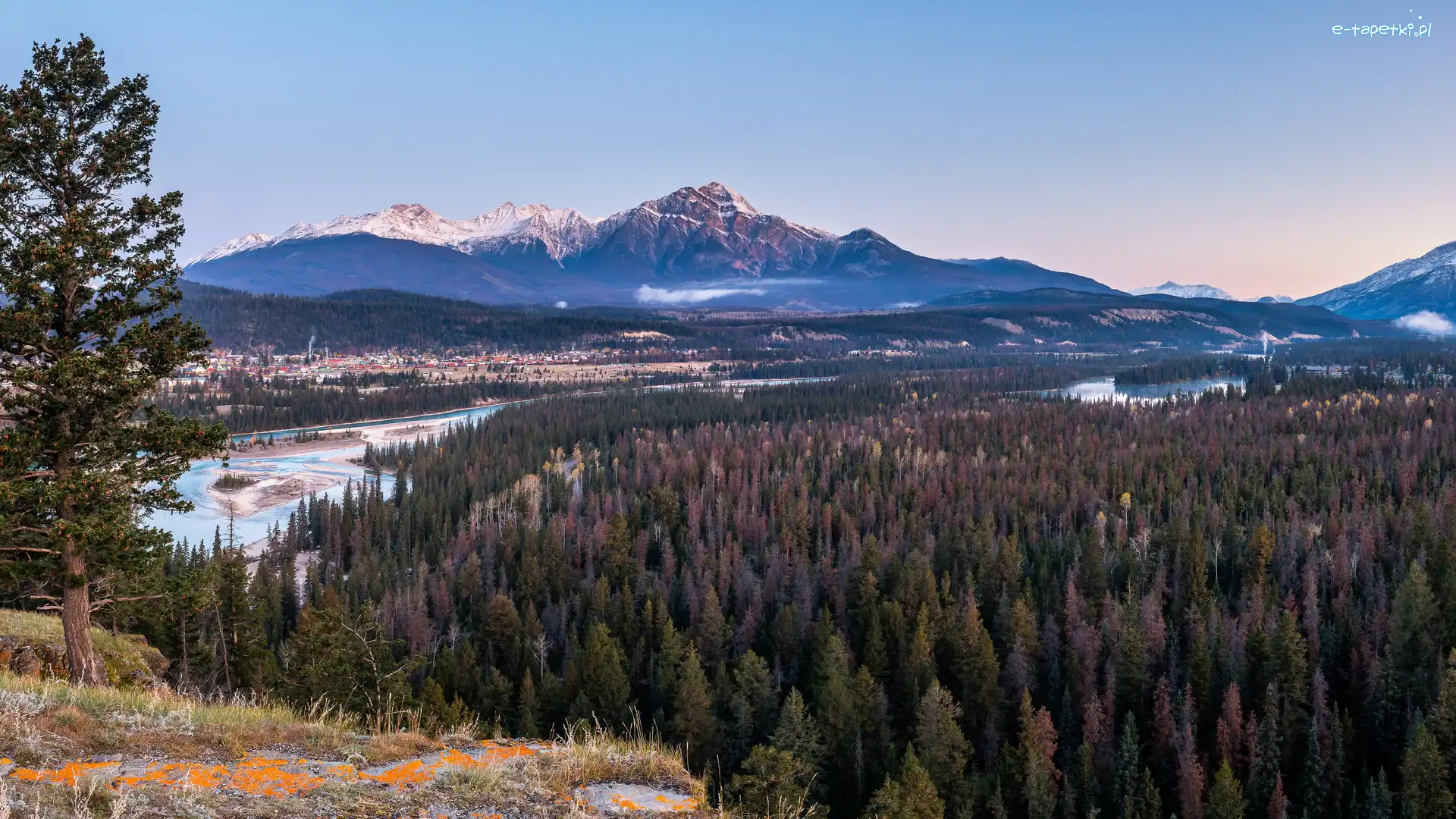 Kanada, Rzeka, Park Narodowy Jasper, Drzewa, Góry Skaliste, Alberta, Domy