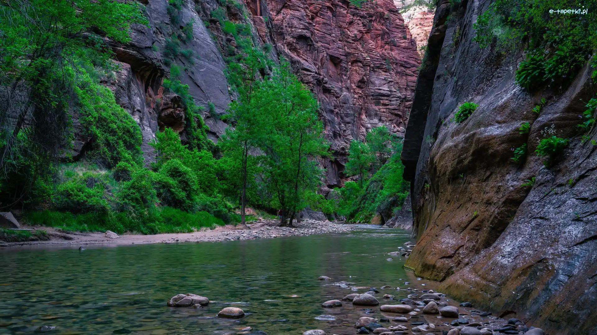 Kanion Zion Narrows, Stan Utah, Virgin River, Rzeka, Park Narodowy Zion, Skały, Kamienie, Stany Zjednoczone