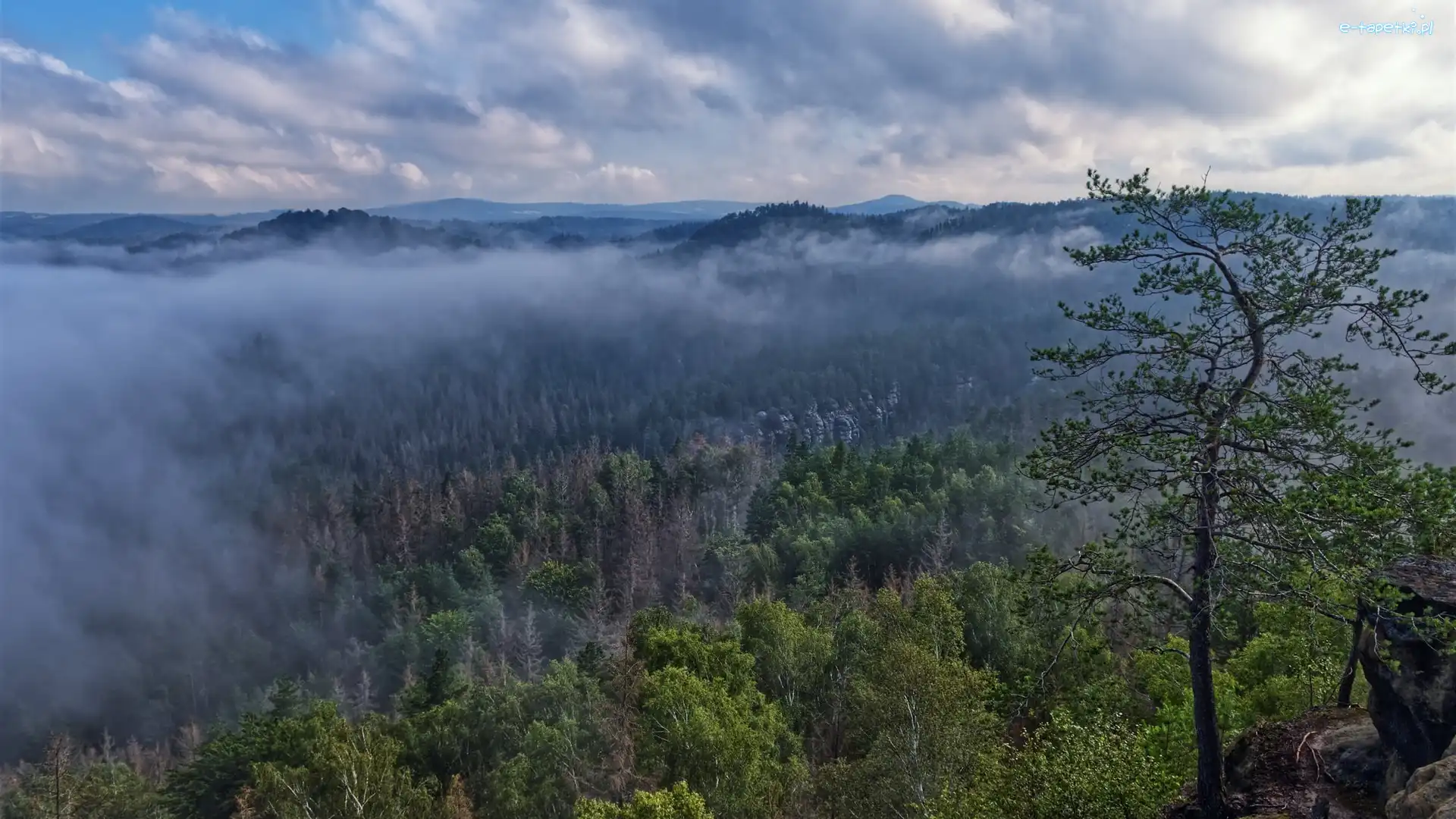 Góry, Wierzchołki, Drzewa, Chmury, Mgła
