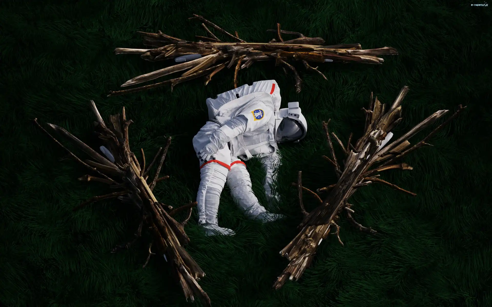 Astronauta, Trawa, Skafander, Grafika 2D, Gałęzie