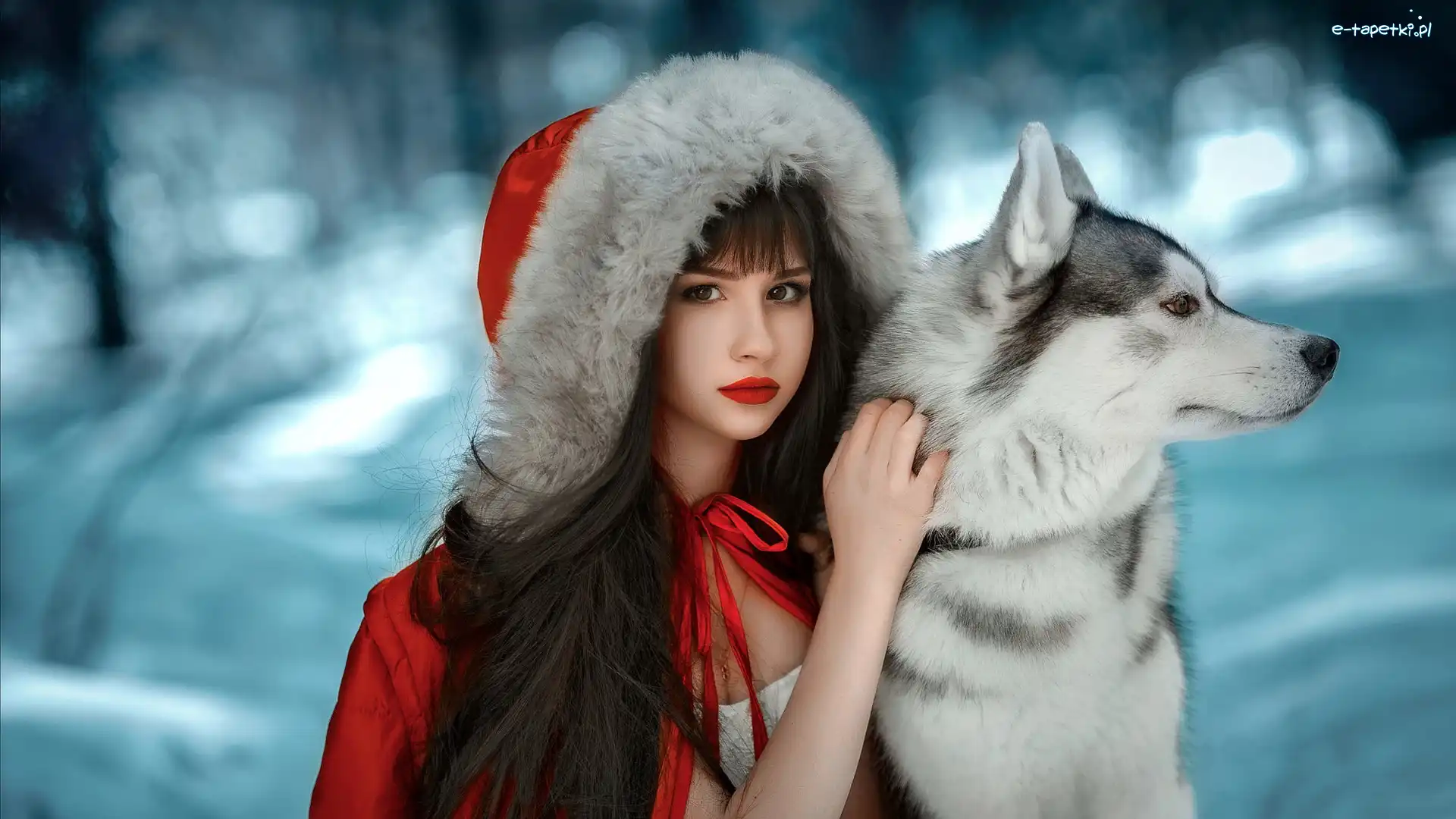 Siberian husky, Płaszcz, Kaptur, Czerwony, Dziewczyna, Pies, Śnieg
