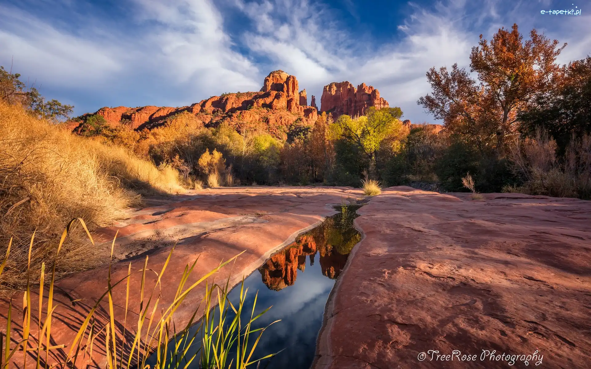 Stany Zjednoczone, Drzewa, Formacja Cathedral Rock, Kałuża, Skały, Arizona, Sedona