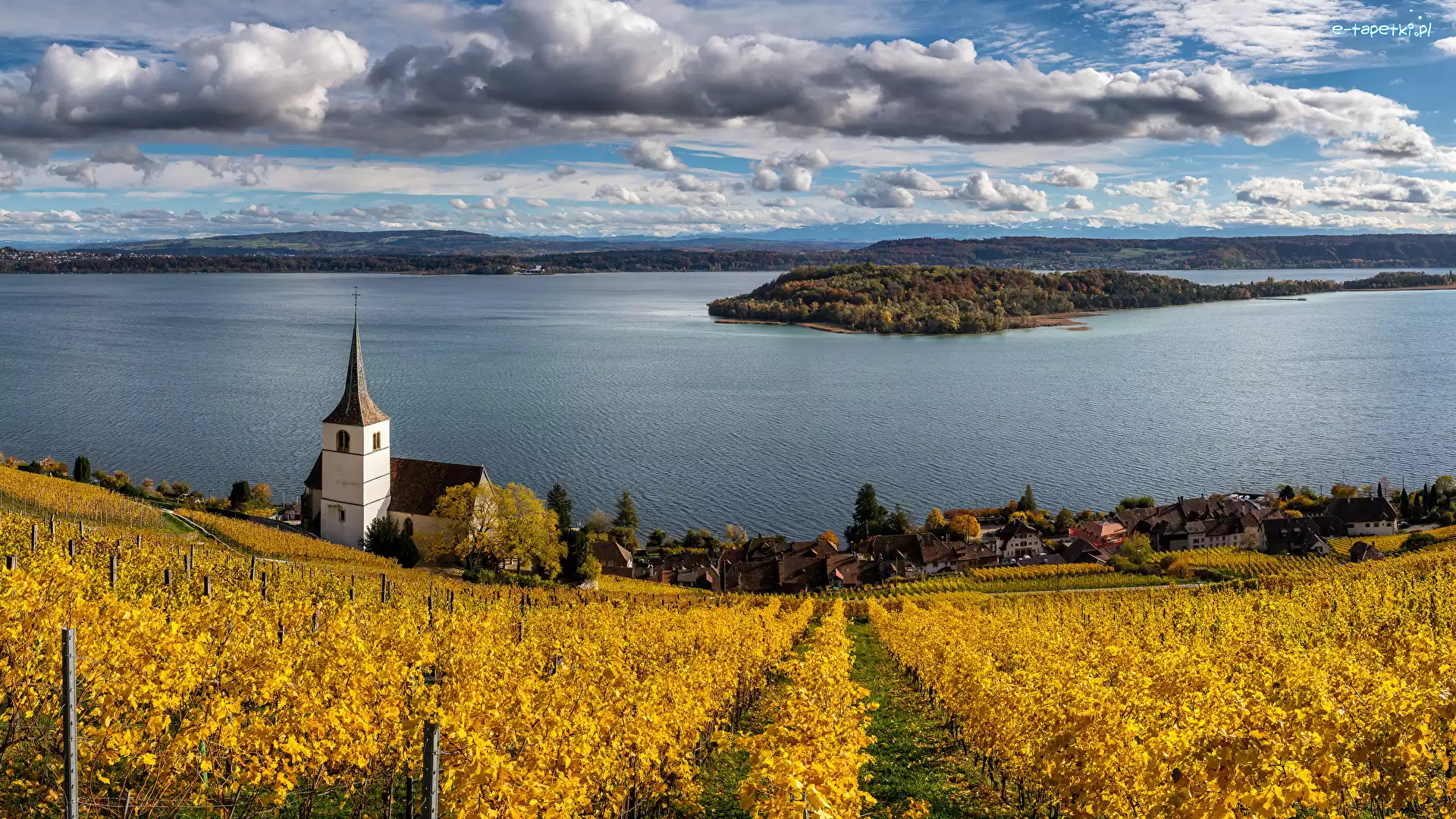 Winnica, Gmina Ligerz, Jezioro, Kanton Berno, Szwajcaria, Kościół, Bielersee