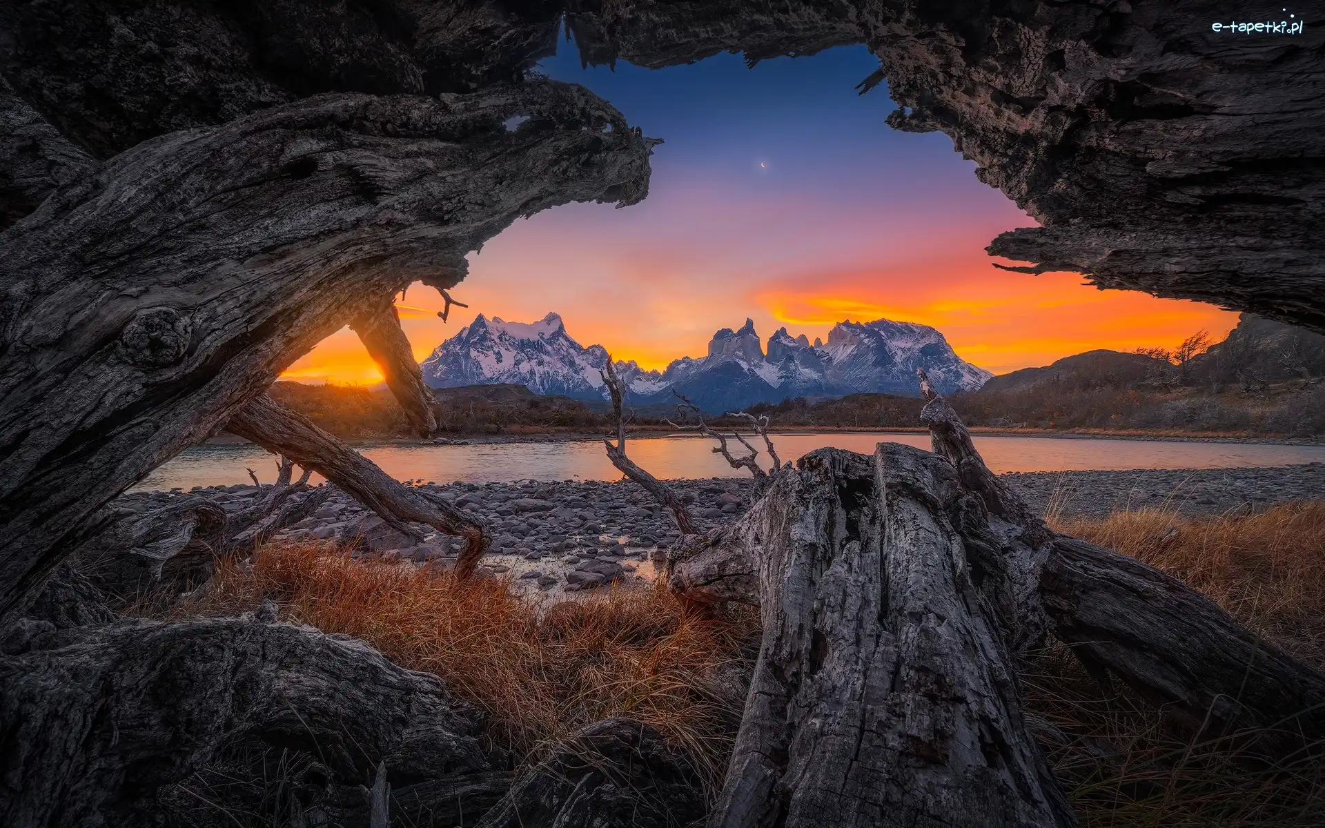 Skały, Drzewo, Brzeg, Kamienisty, Park Narodowy Torres del Paine, Chile, Patagonia, Rzeka, Góry Cordillera del Paine
