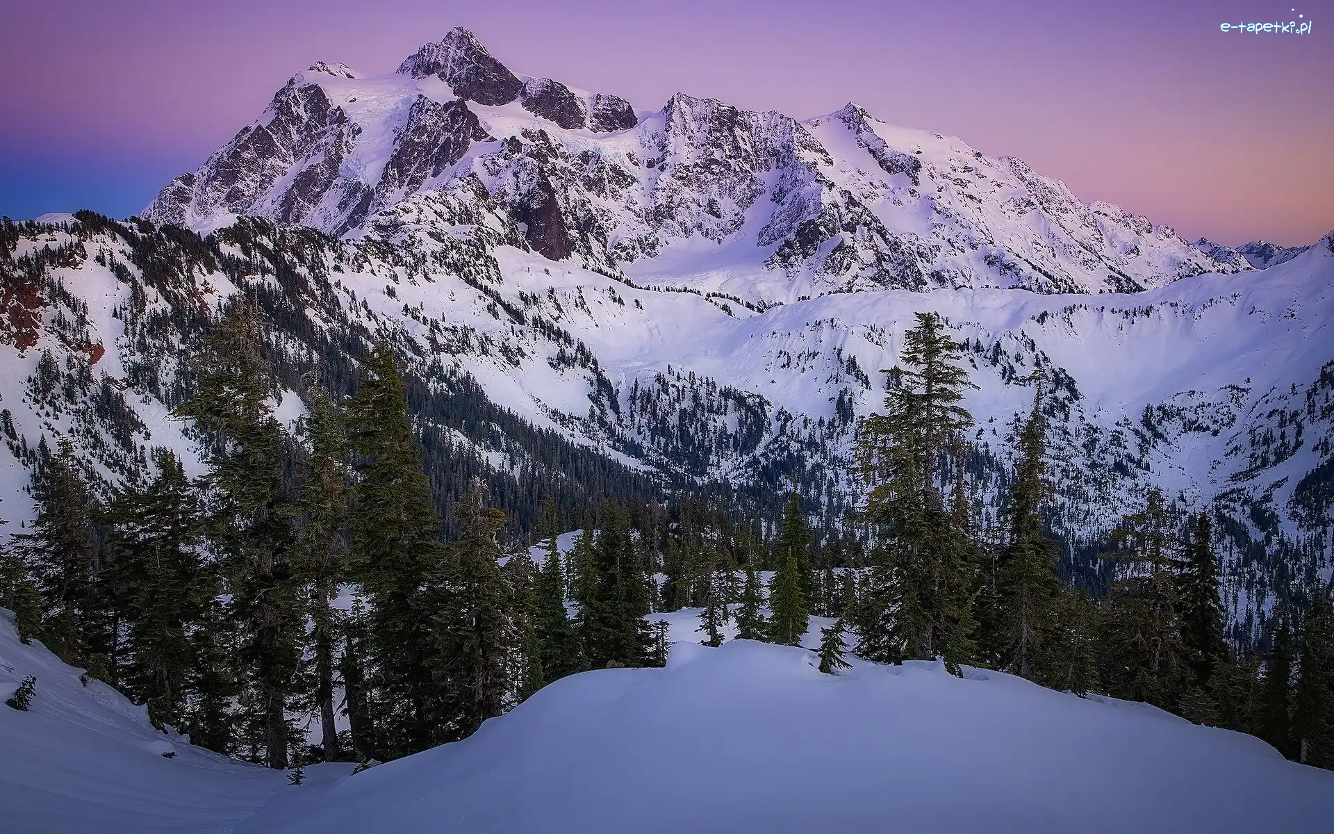 Śnieg, Mount Shuksan, Stany Zjednoczone, Stan Waszyngton, Zima, Drzewa, Park Narodowy Północnych Gór Kaskadowych, Góry Kaskadowe