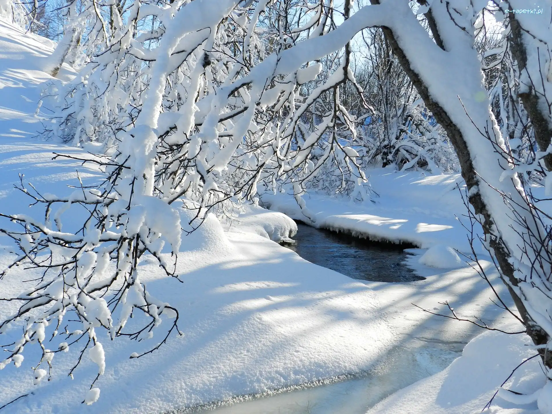 Drzewa, Śnieg, Dzień, Słoneczny, Ośnieżone, Gałęzie, Strumień, Zima