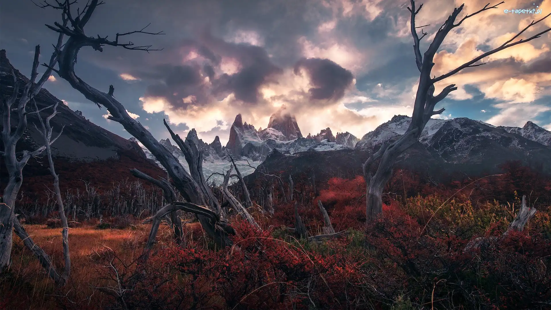 Gałęzie, Jesień, Promienie słońca, Góra, Argentyna, Fitz Roy, Drzewa, Patagonia, Park Narodowy Los Glaciares, Góry Andy, Chmury