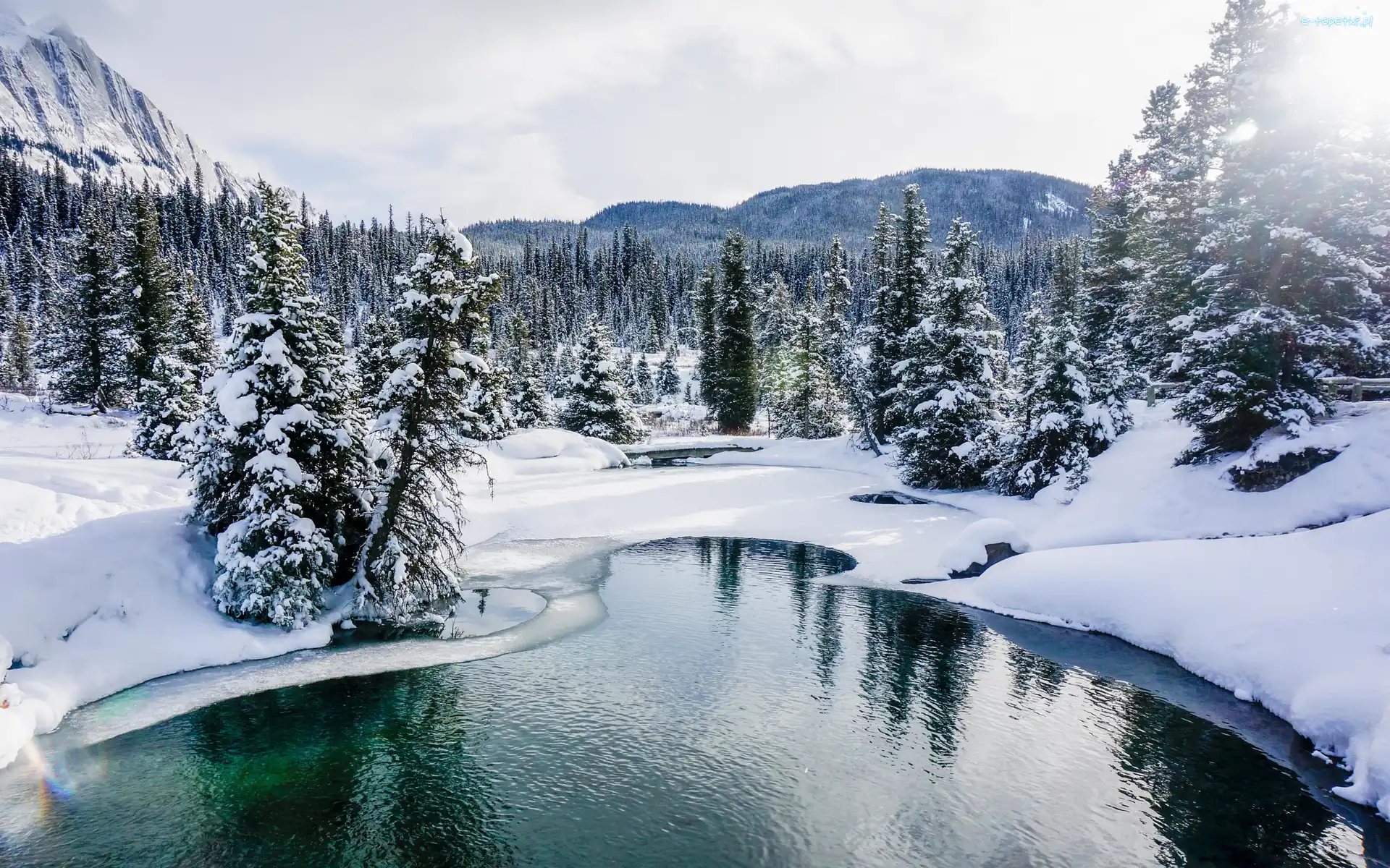 Drzewa, Prowincja Alberta, Zima, Góry, Rezerwat Ink Pots, Rzeka, Johnston Creek, Kanada, Park Narodowy Banff, Lasy