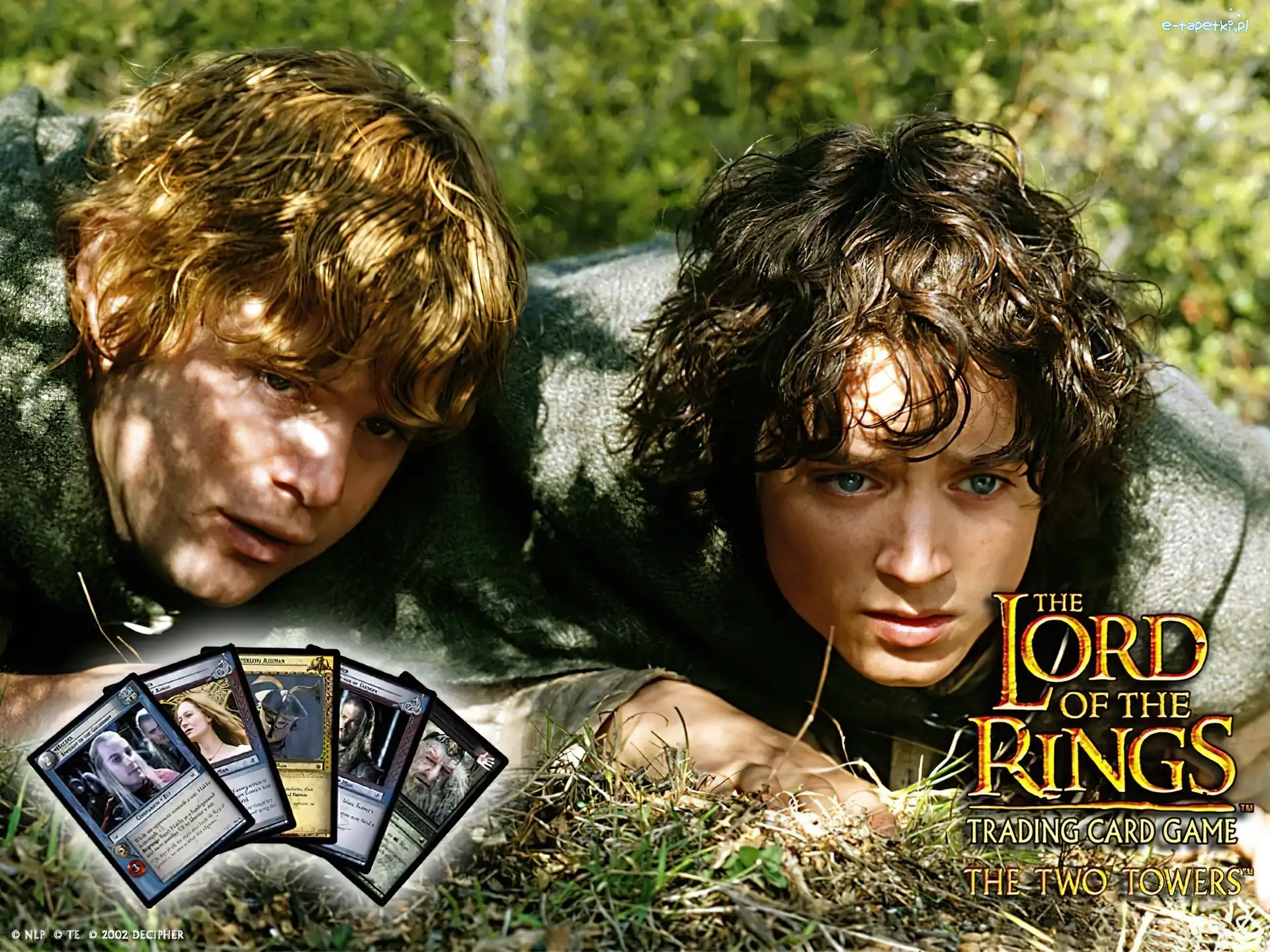 The Lord of The Rings, Sean Astin, Elijah Wood, karty, trawa