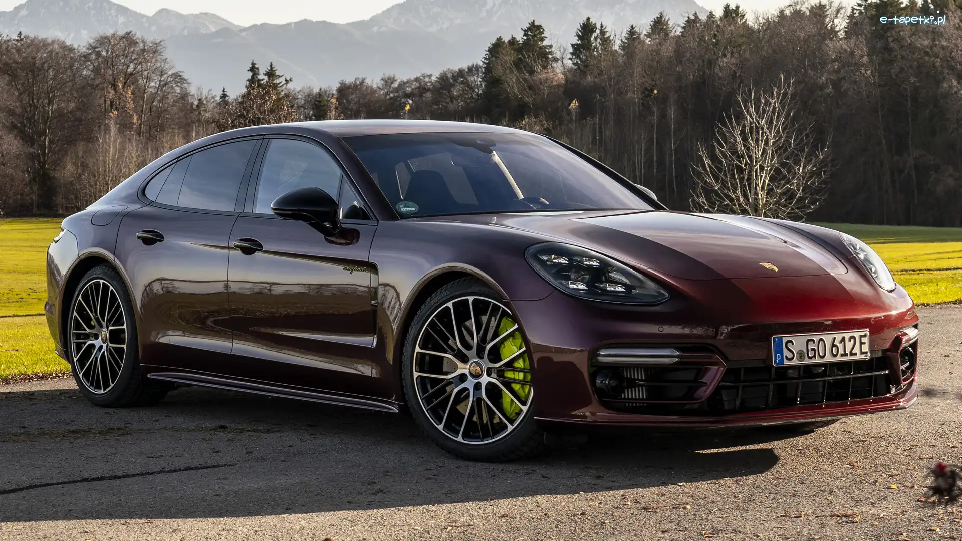 Hybryda, Porsche Panamera E
