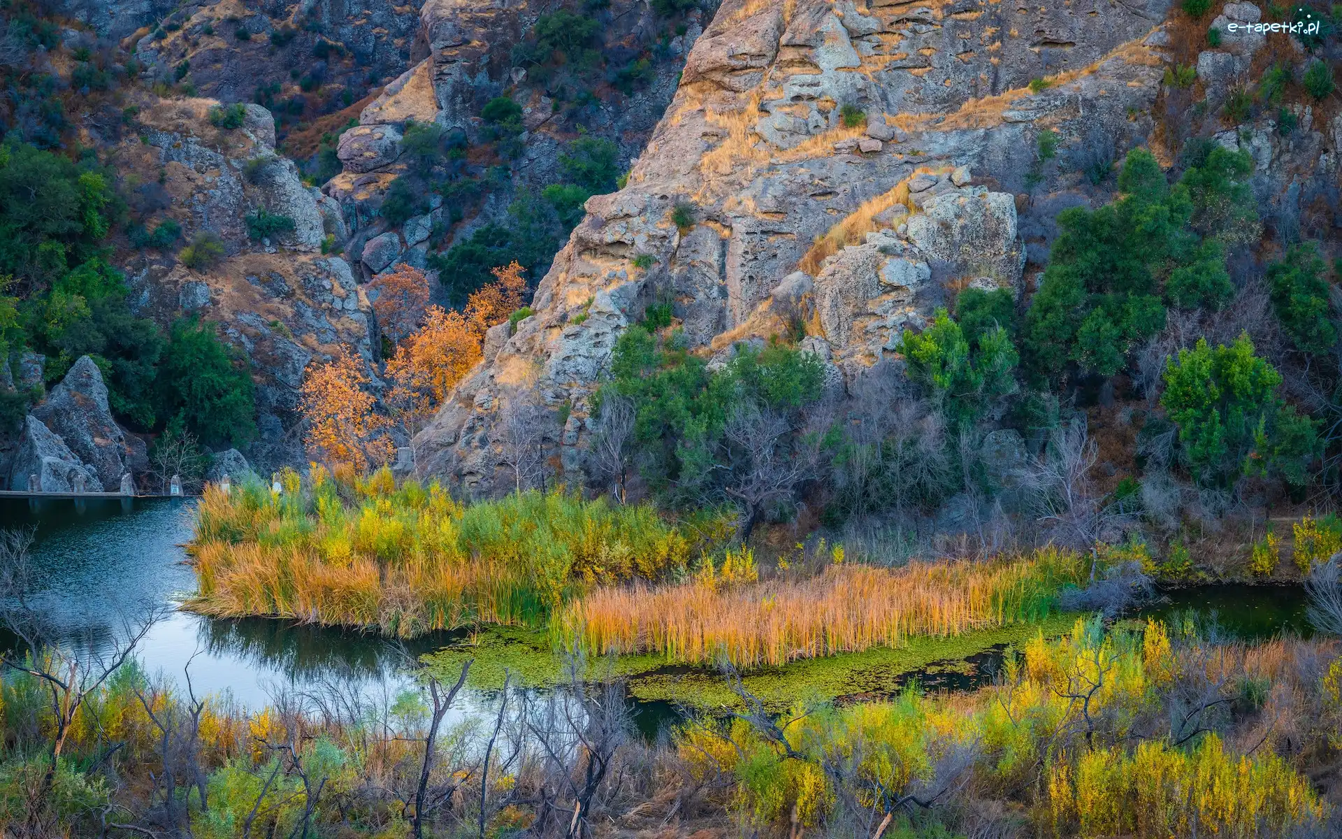Rzeka Malibu Creek, Kalifornia, Roślinność, Skały, Park stanowy Malibu Creek, Trawy, Góry, Stany Zjednoczone