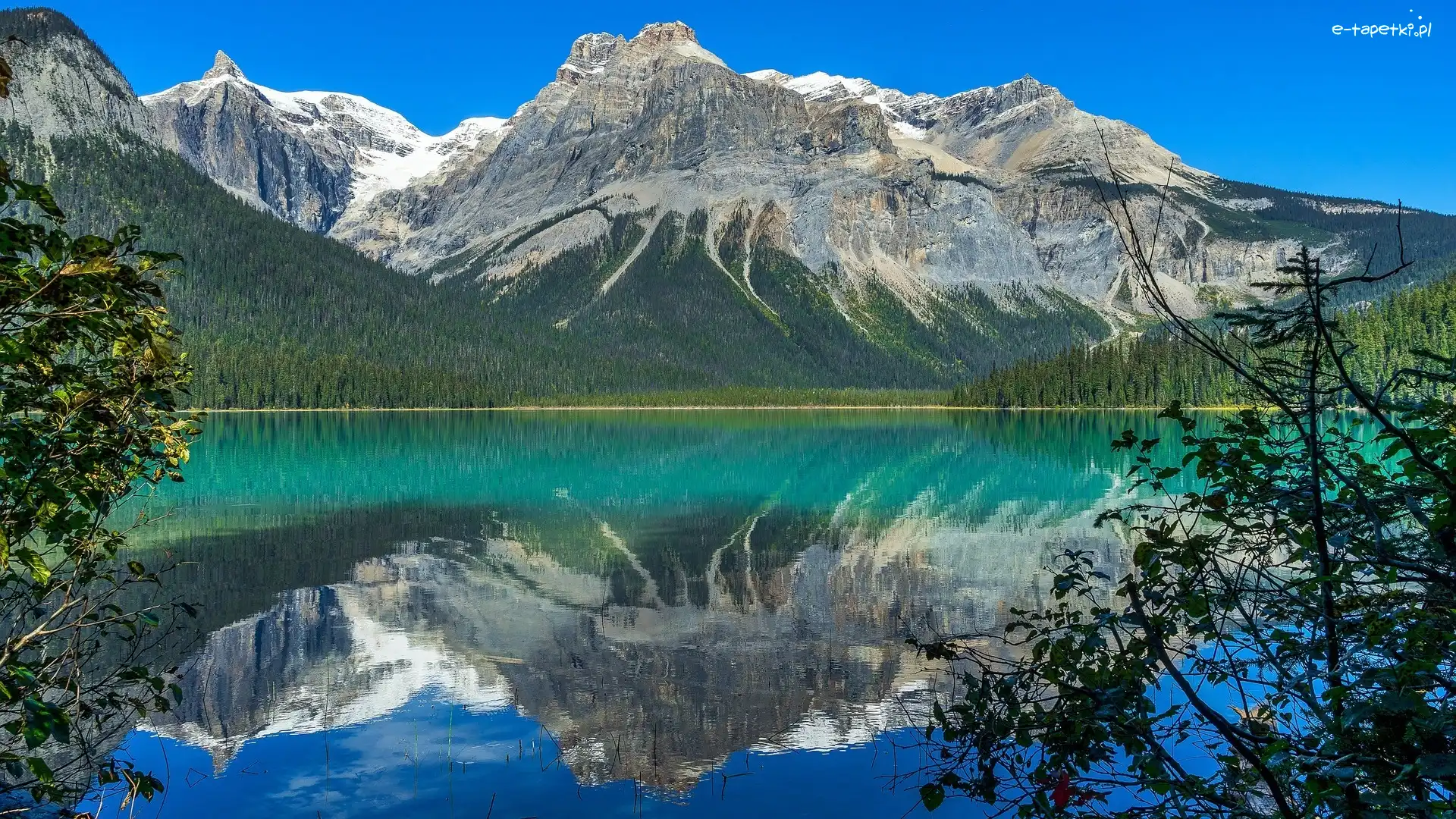 Park Narodowy Yoho, Emerald Lake, Drzewa, Jezioro, Góry, Kanada, Odbicie
