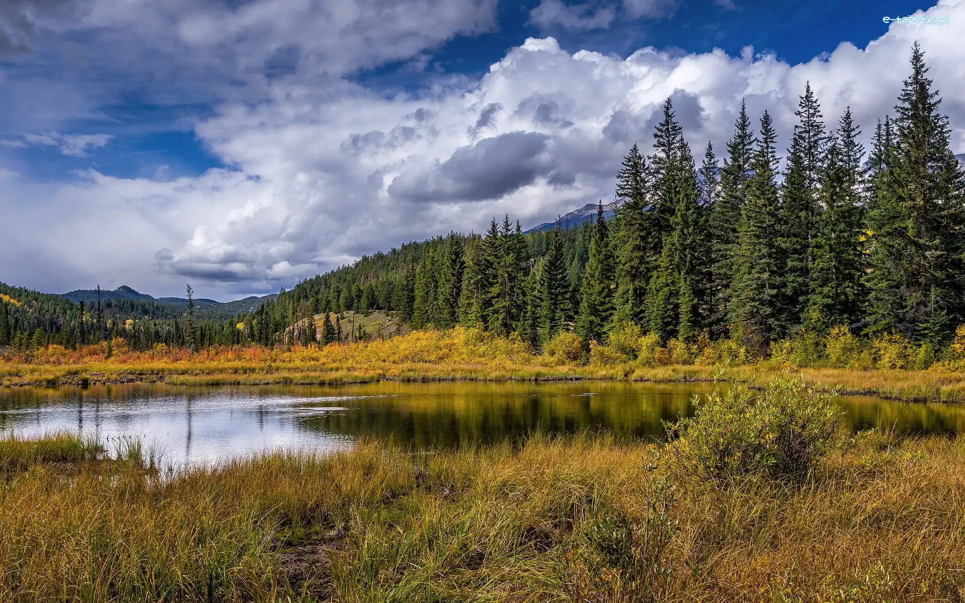 Park Narodowy Jasper, Drzewa, Kanada, Chmury, Trawa, Szczyty, Góry, Jezioro, Świerki, Alberta