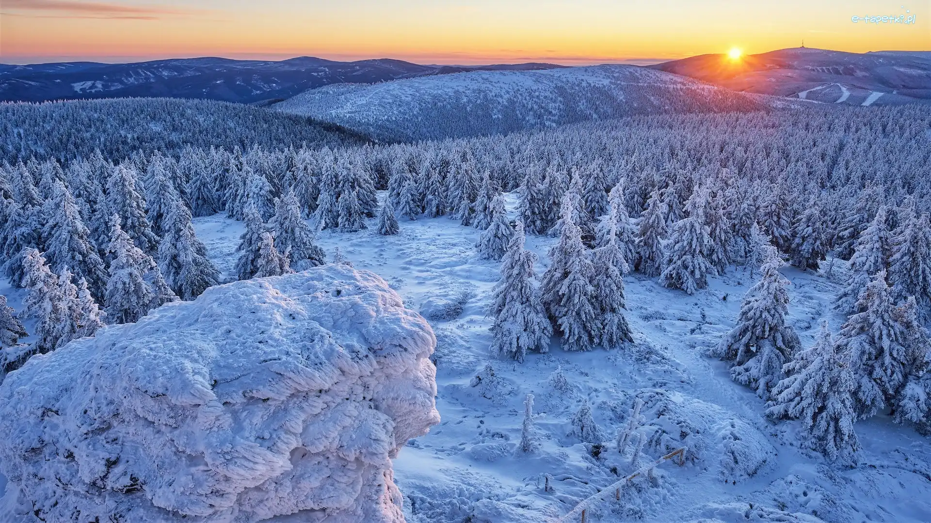 Lasy, Wschód słońca, Śnieg, Góry, Zima, Ośnieżone, Drzewa