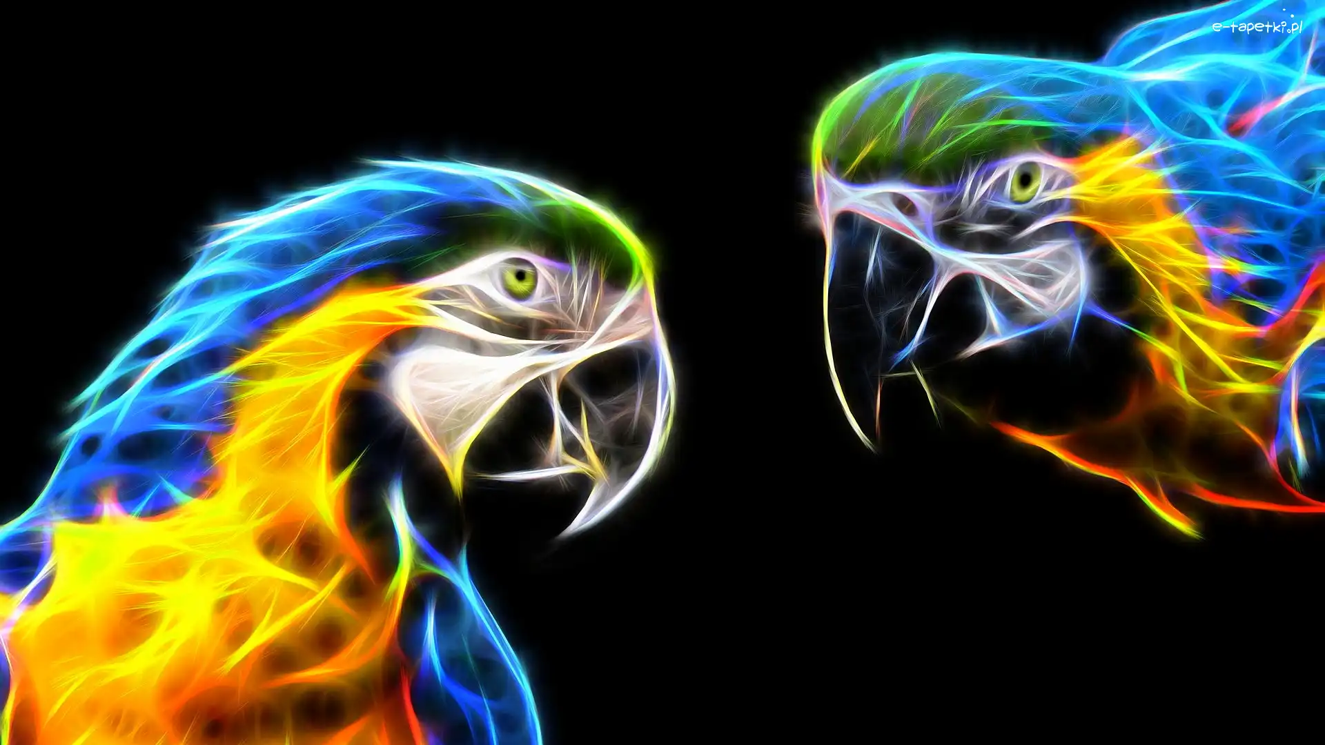 Ciemne, Ary, Fractalius, Tło, Papugi, Dwie