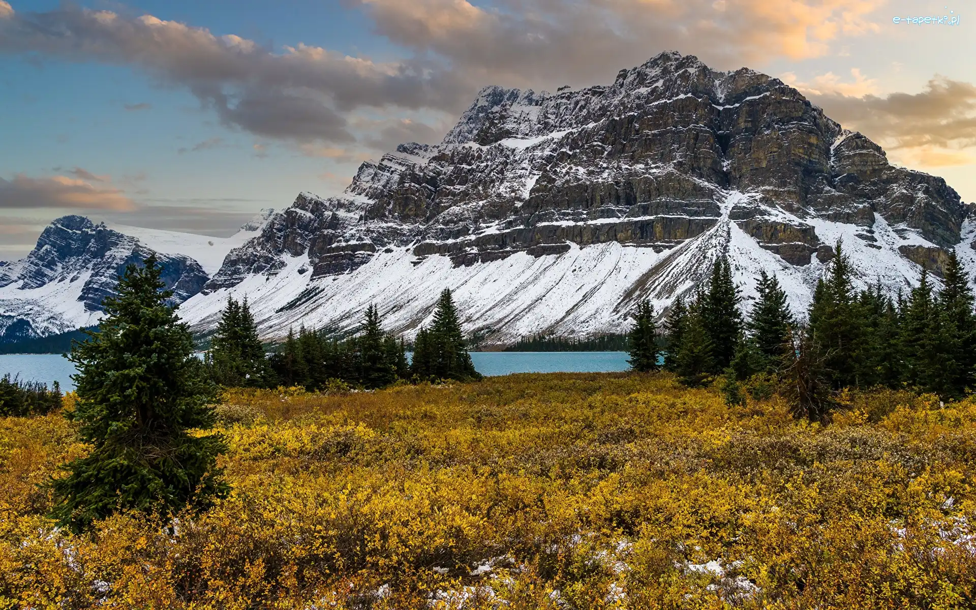 Świerki, Góry, Prowincja, Jezioro, Kanada, Bow Lake, Drzewa, Park Narodowy Banff, Polana, Chmury, Alberta
