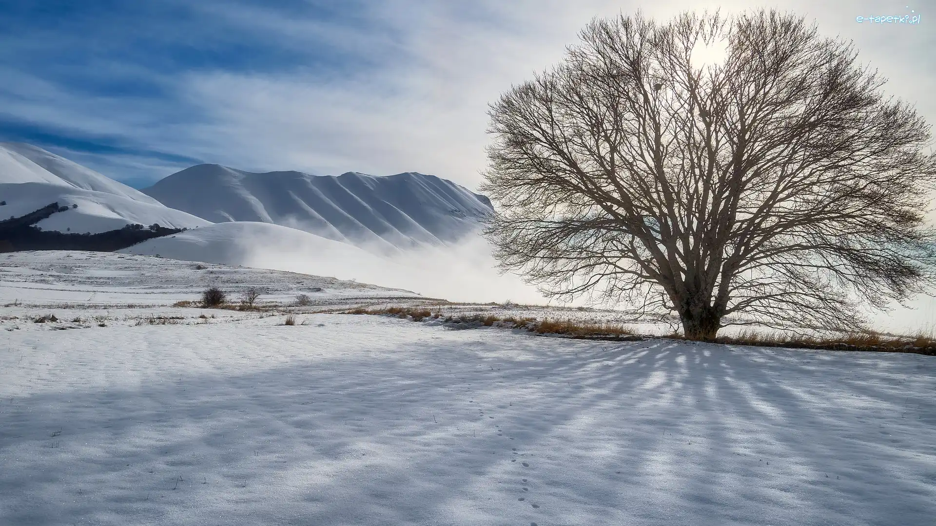 Ślady, Zima, Włochy, Sibillini Mountains, Śnieg, Park Narodowy Monti Sibillini, Góry, Drzewo