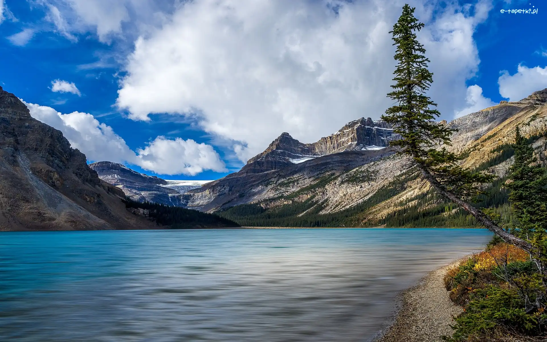 Drzewo, Pochylone, Jezioro, Canadian Rockies, Góry, Kanada, Alberta, Bow Lake, Park Narodowy Banff