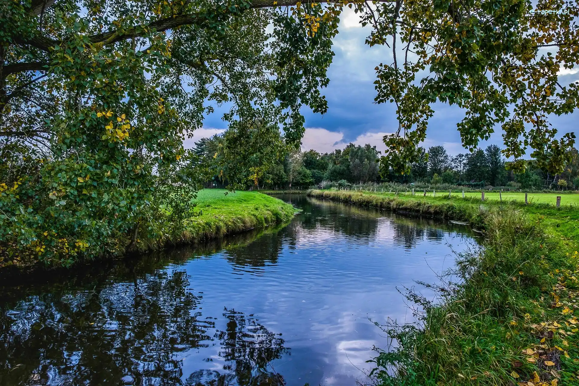 Drzewa, Trawa, Rzeka