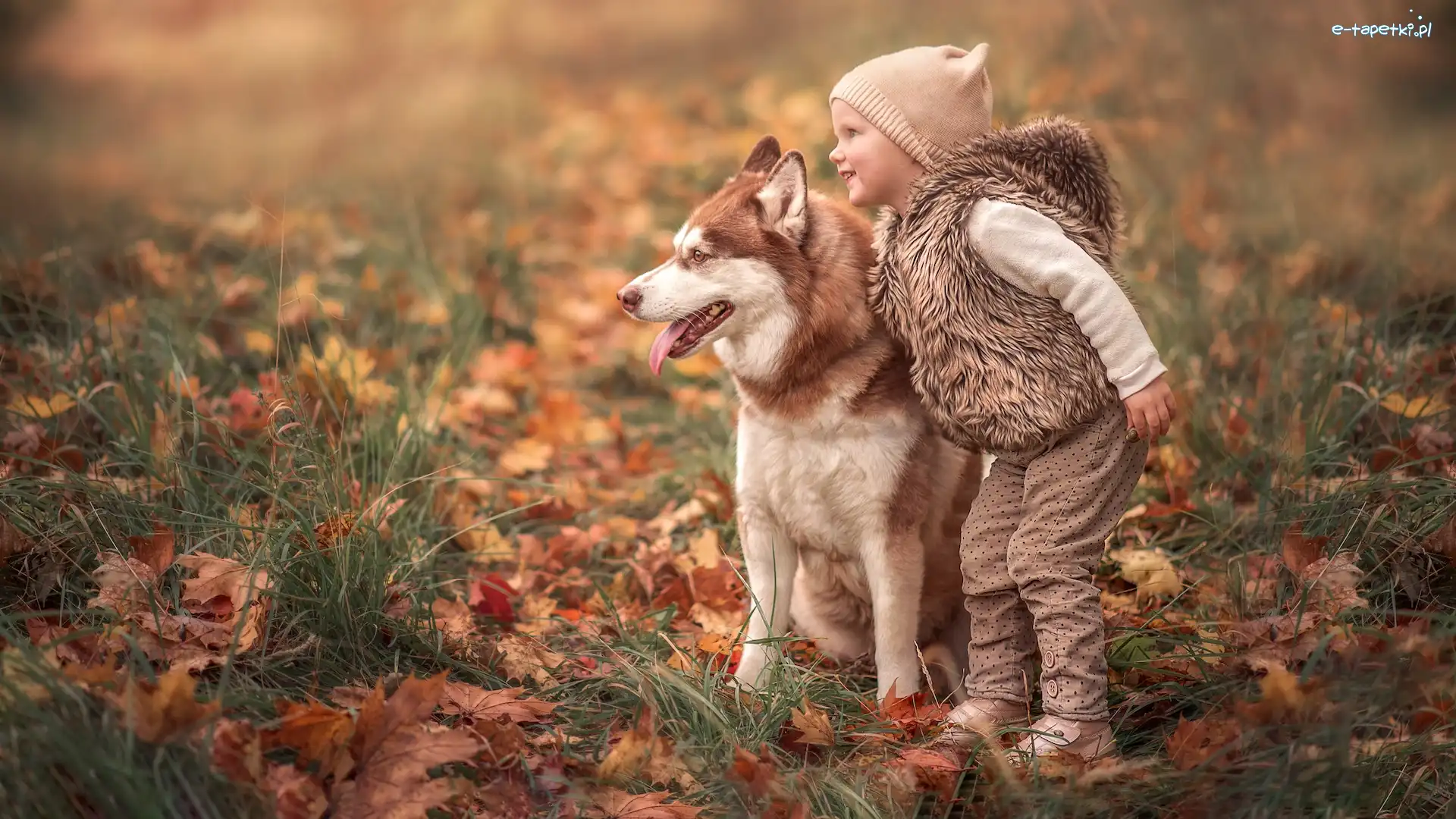 Dziewczynka, Siberian husky, Pies, Trawa, Liście