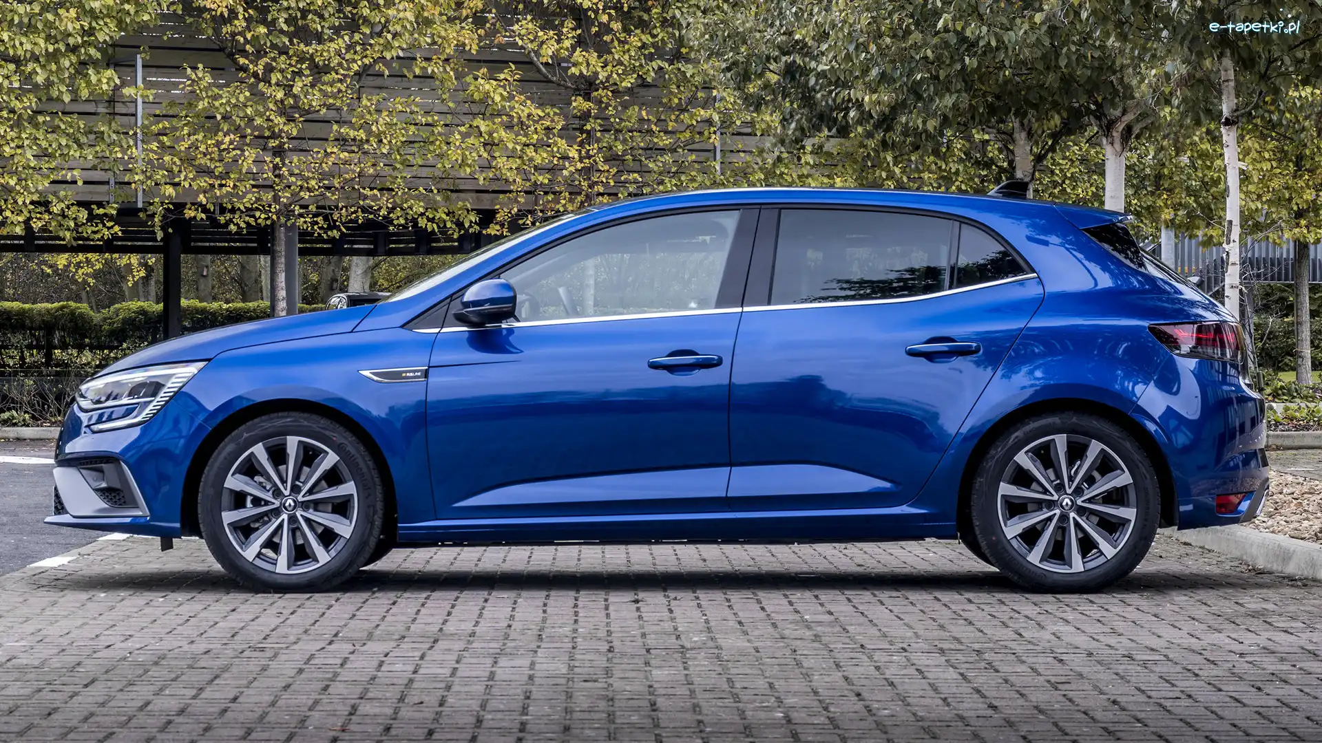 Bok, Renault Megane RS