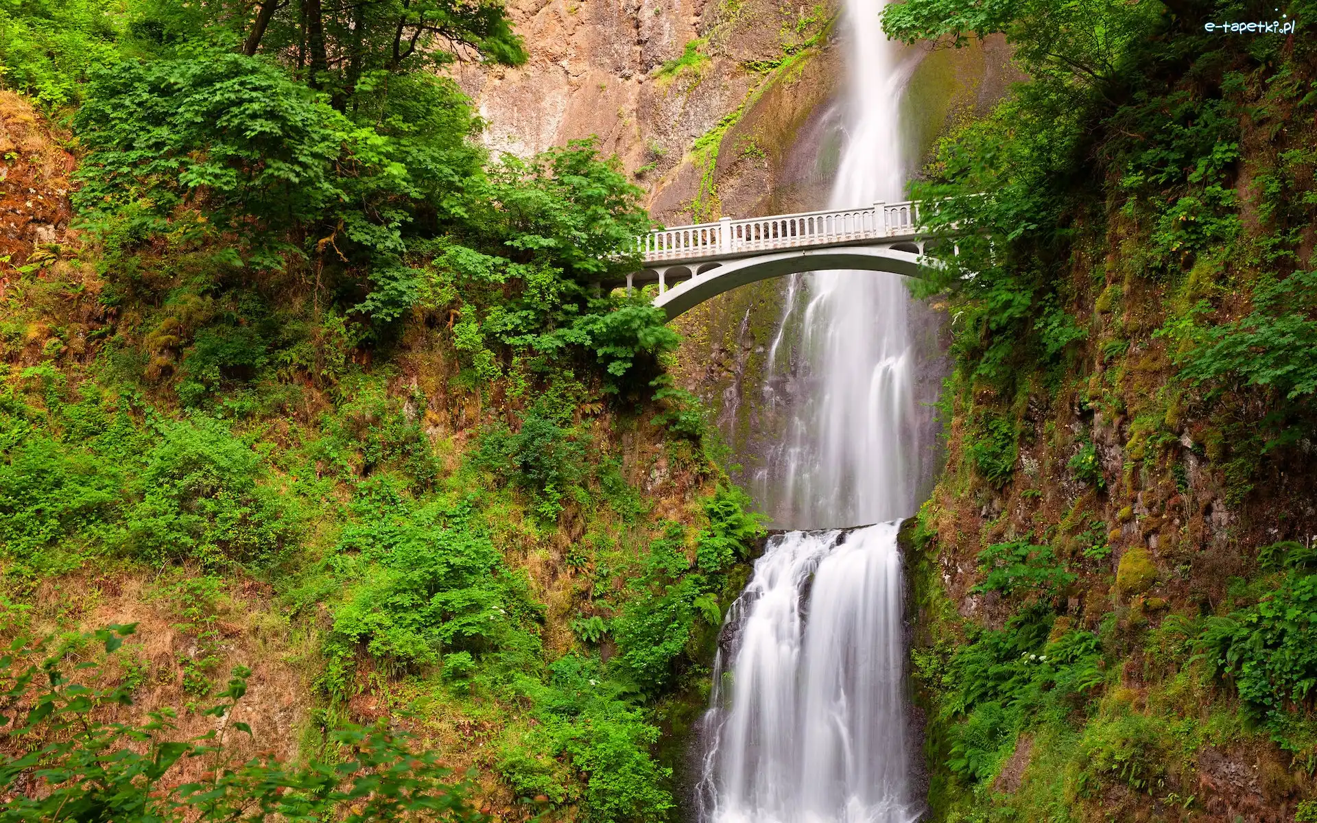Roślinność, Drzewa, Most, Multnomah Falls, Wodospad, Stany Zjednoczone, Oregon, Skały, Hrabstwo Multnomah