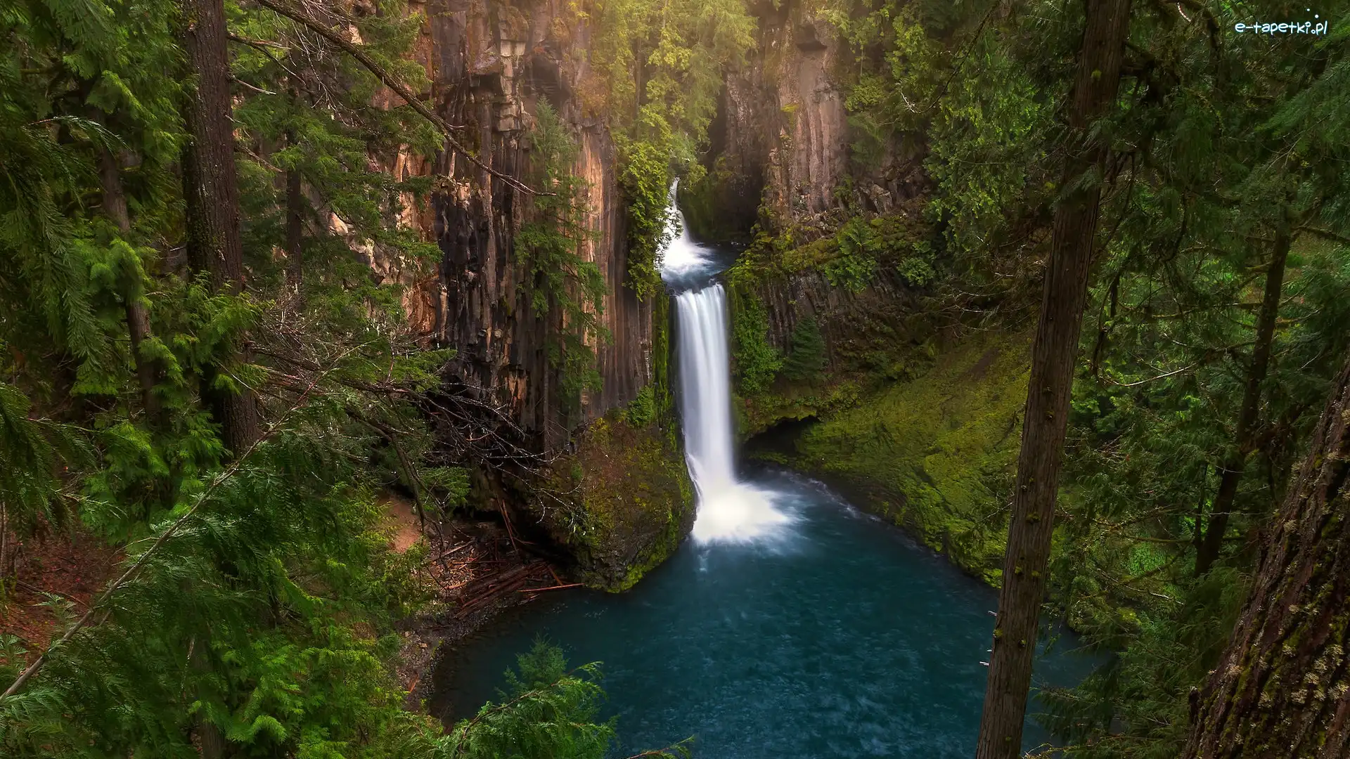 Roślinność, Park Narodowy Jeziora Kraterowego, Wodospad, Stan Oregon, Stany Zjednoczone, Skały, Toketee Falls