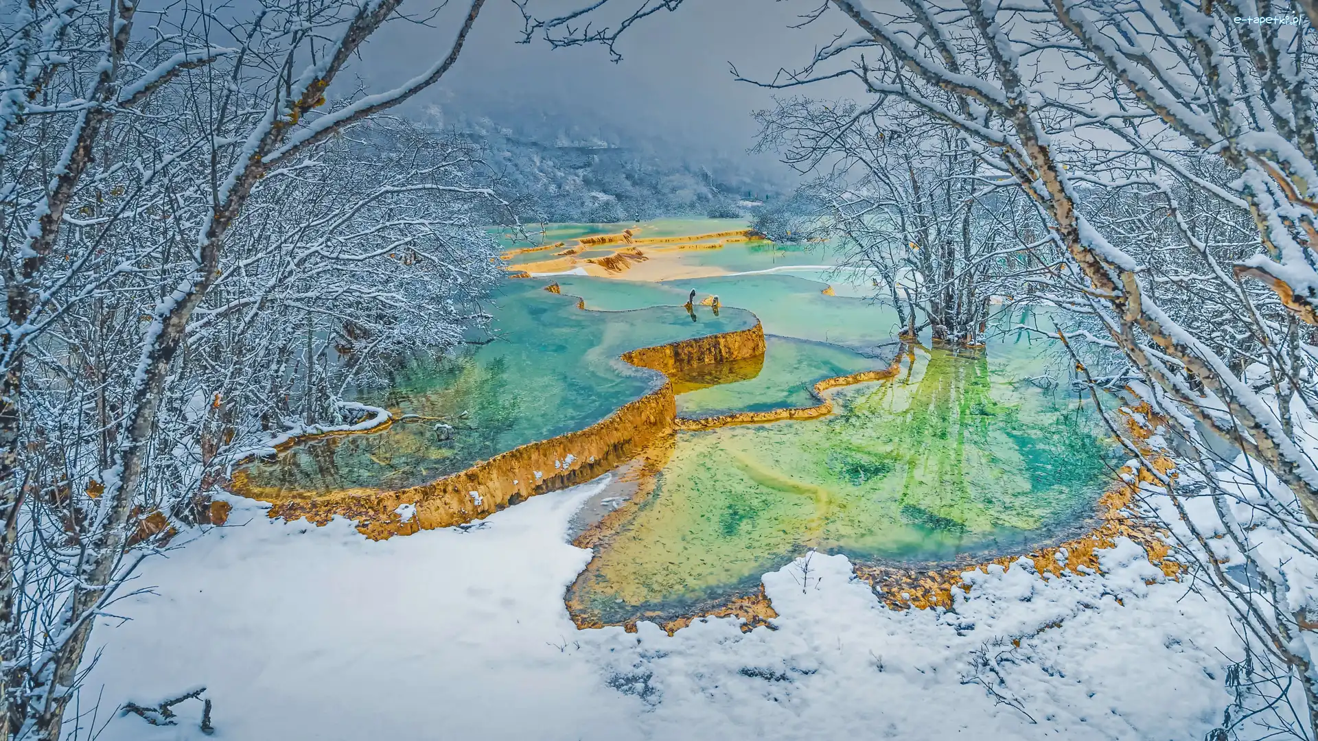Rzeka, Drzewa, Chiny, Dolina Huanglong, Śnieg, Sadzawki tarasowe, Kaskada, Zima
