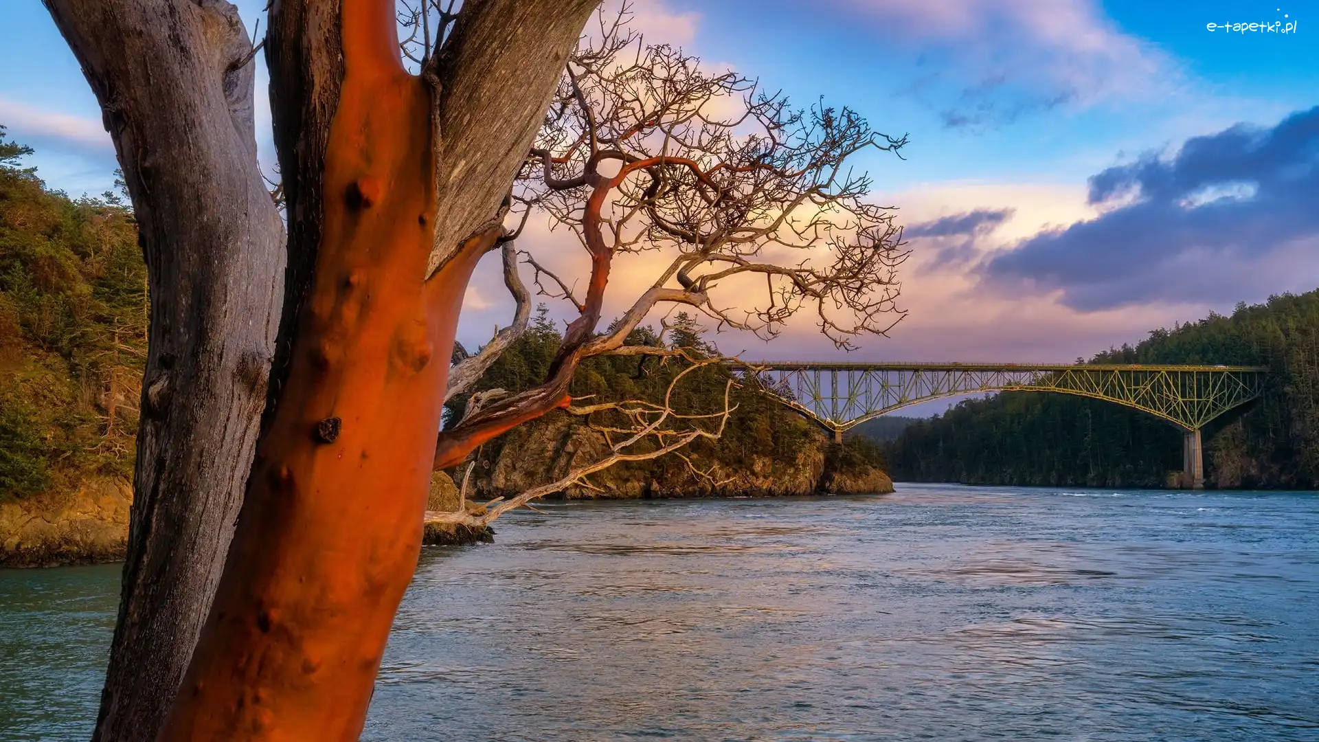 Deception Pass, Cieśnina, Most, Waszyngton, Stany Zjednoczone, Chmury, Drzewa, Deception Pass Bridge, Las