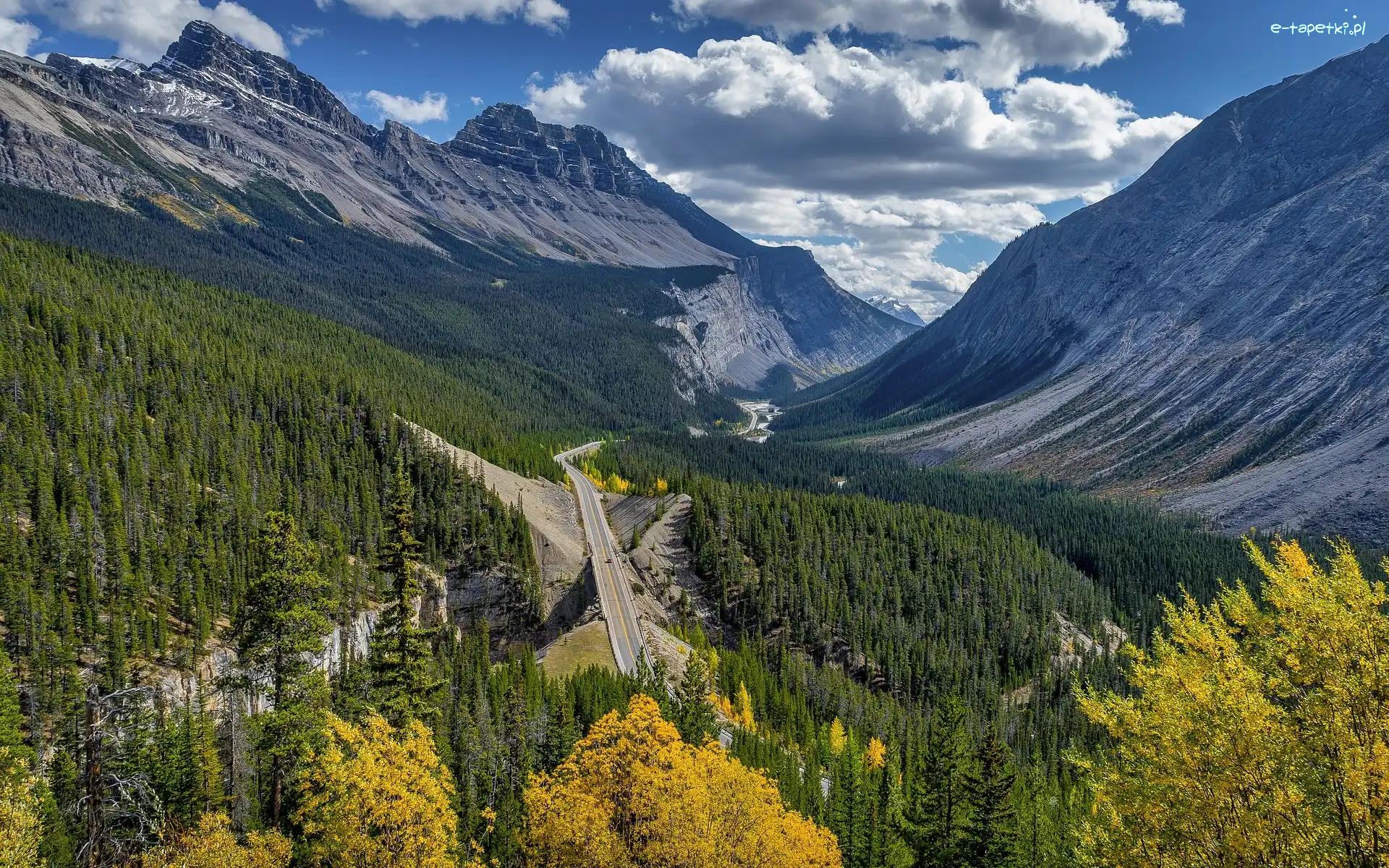 Droga, Dolina, Kanada, Alberta, Lasy, Icefields Parkway, Drzewa, Góry Skaliste