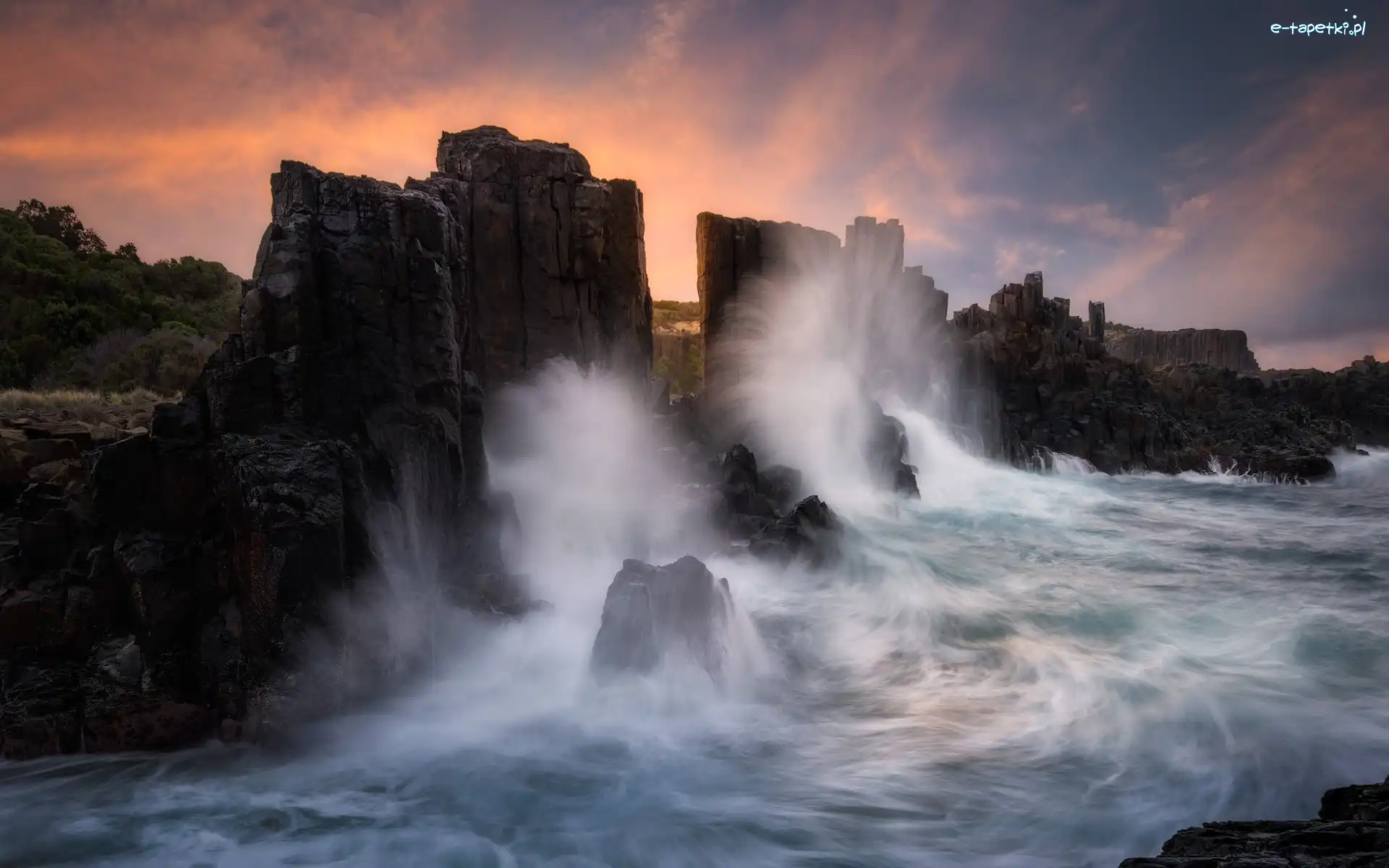 Drzewa, Skały, Formacja skalna, Fale, Morze, Australia, Kiama, Bombo Headland Quarry, Bombo