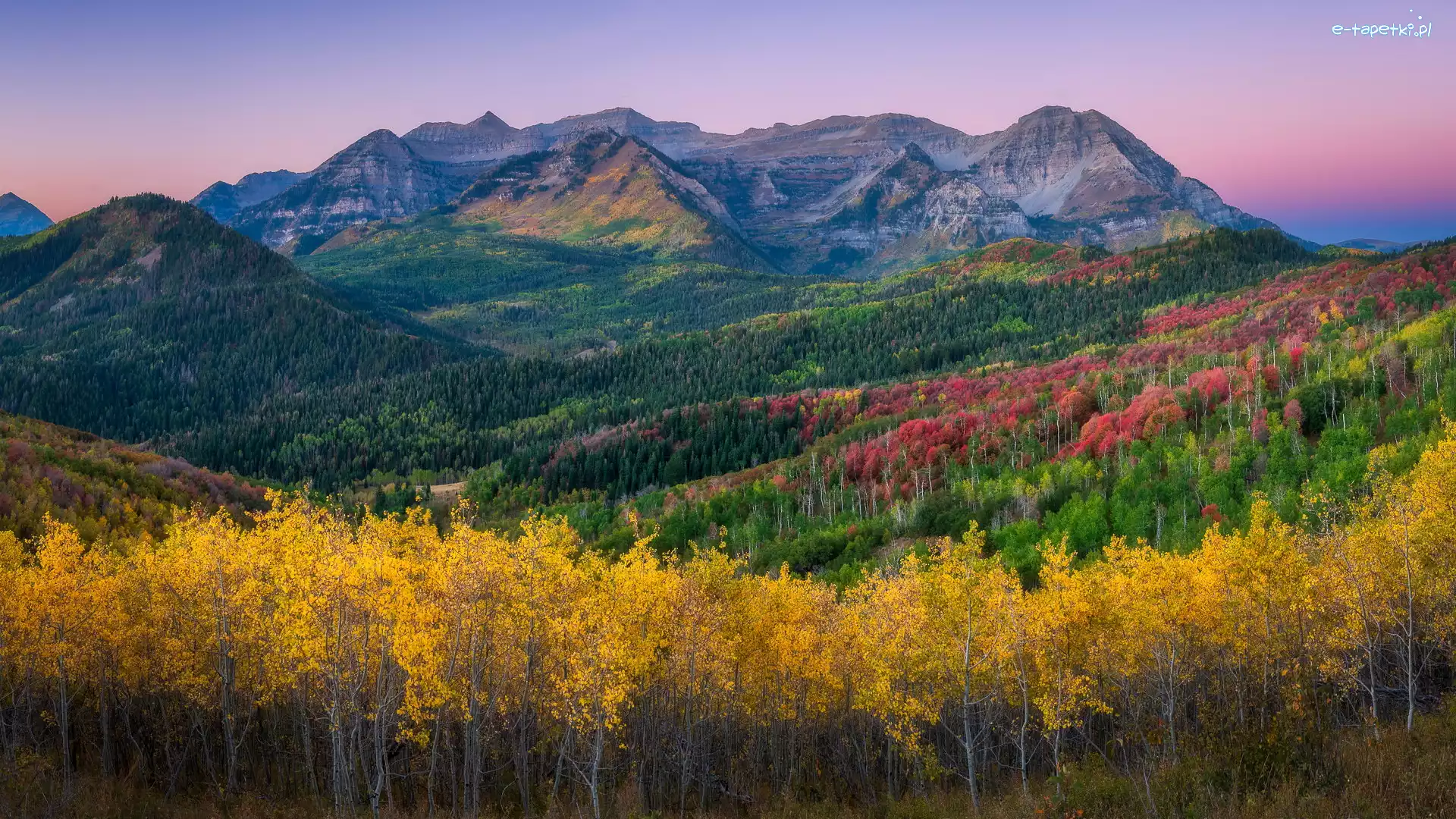 Drzewa, Lasy, Góra, Wasatch Range, Góry, Stany Zjednoczone, Stan Utah, Mount Timpanogos, Jesień