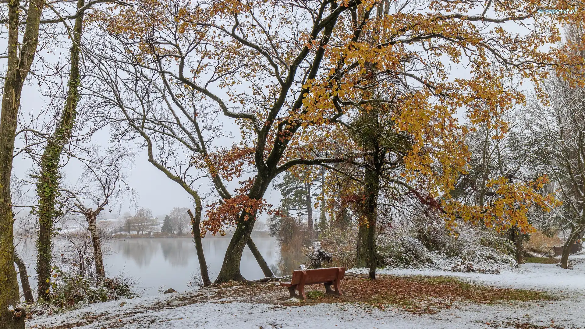 Jesień, Park, Staw, Śnieg, Ławka