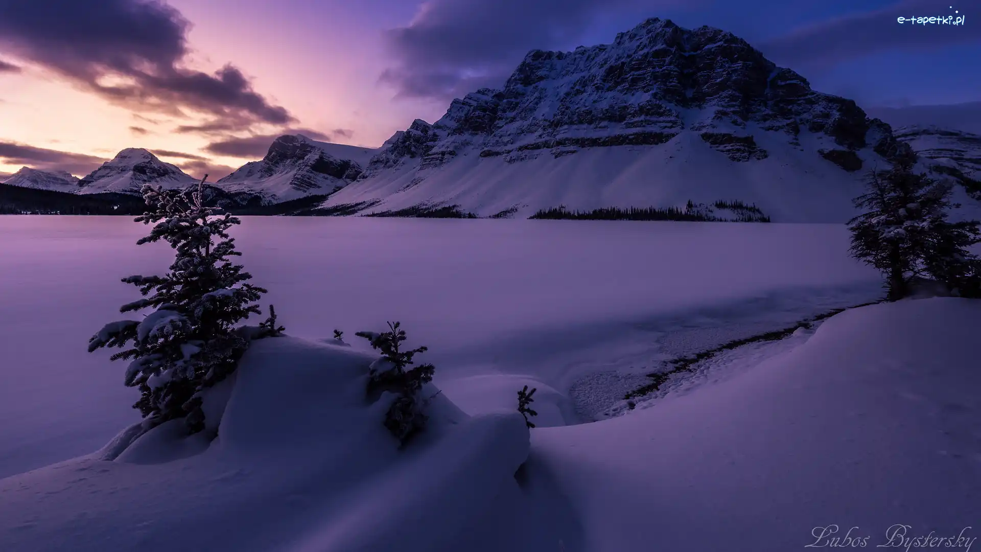 Park Narodowy Banff, Góry, Kanada, Drzewa, Zaśnieżone, Jezioro, Bow Lake, Zima, Góra Crowfoot Mountain, Alberta