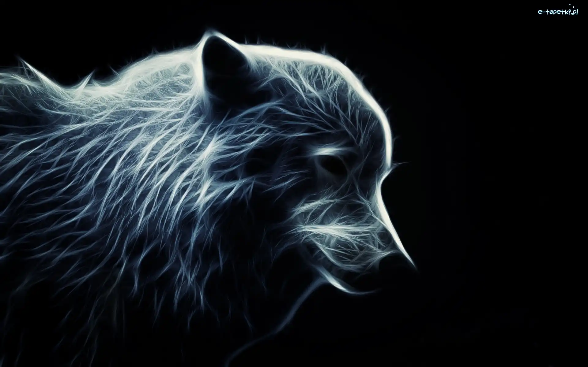 Czarne, Fractalius, Grafika, Tło, Profil, Wilk