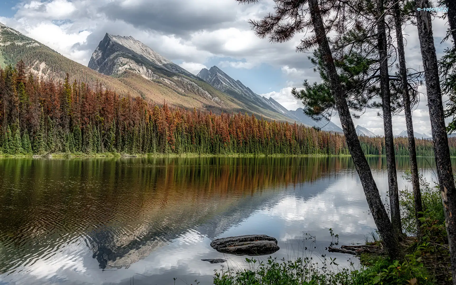 Jezioro, Drzewa, Kanada, Alberta, Góry, Honeymoon Lake, Park Narodowy Jasper, Las